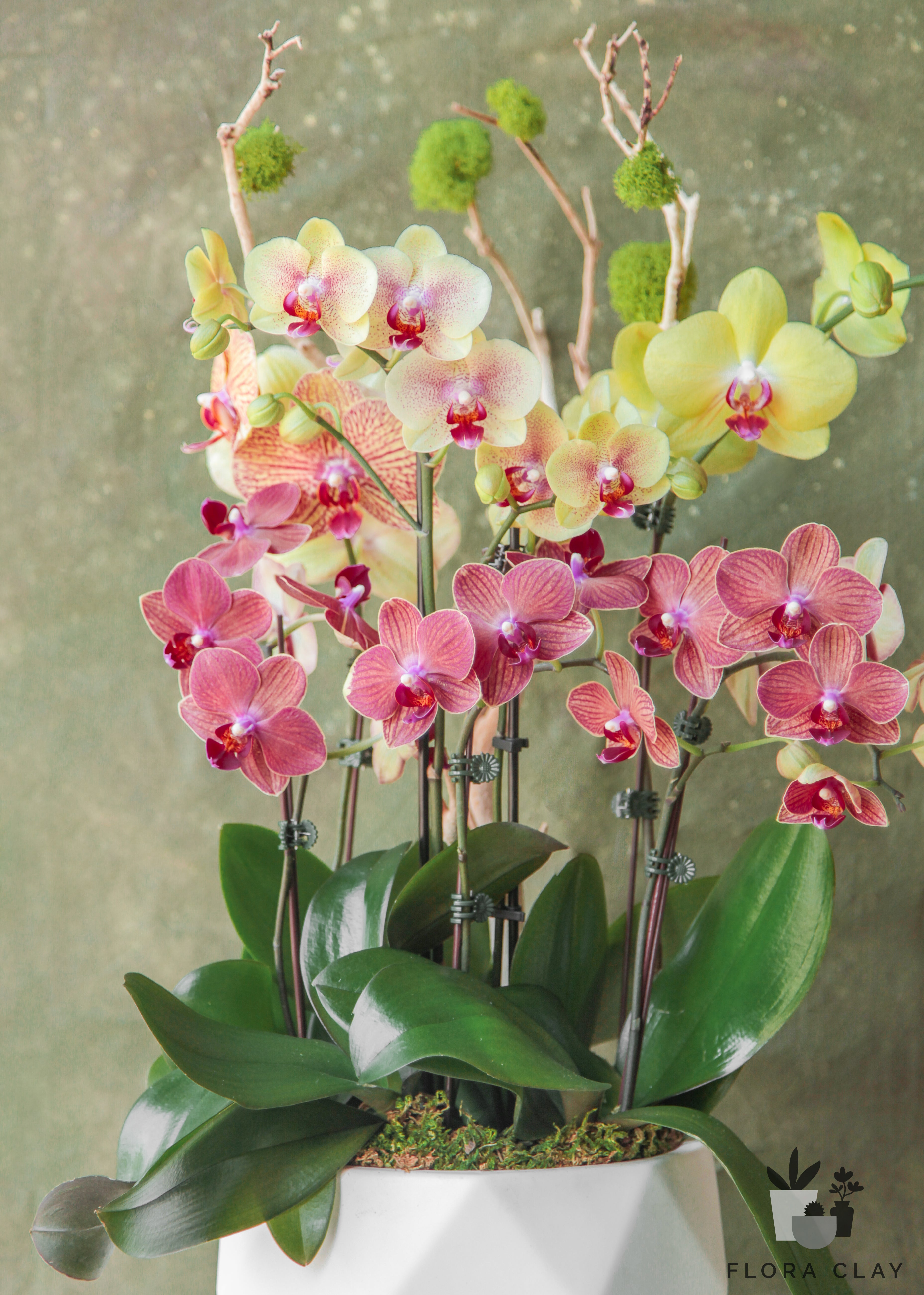 mosaic-orchid-arrangement-floraclay-2.jpg