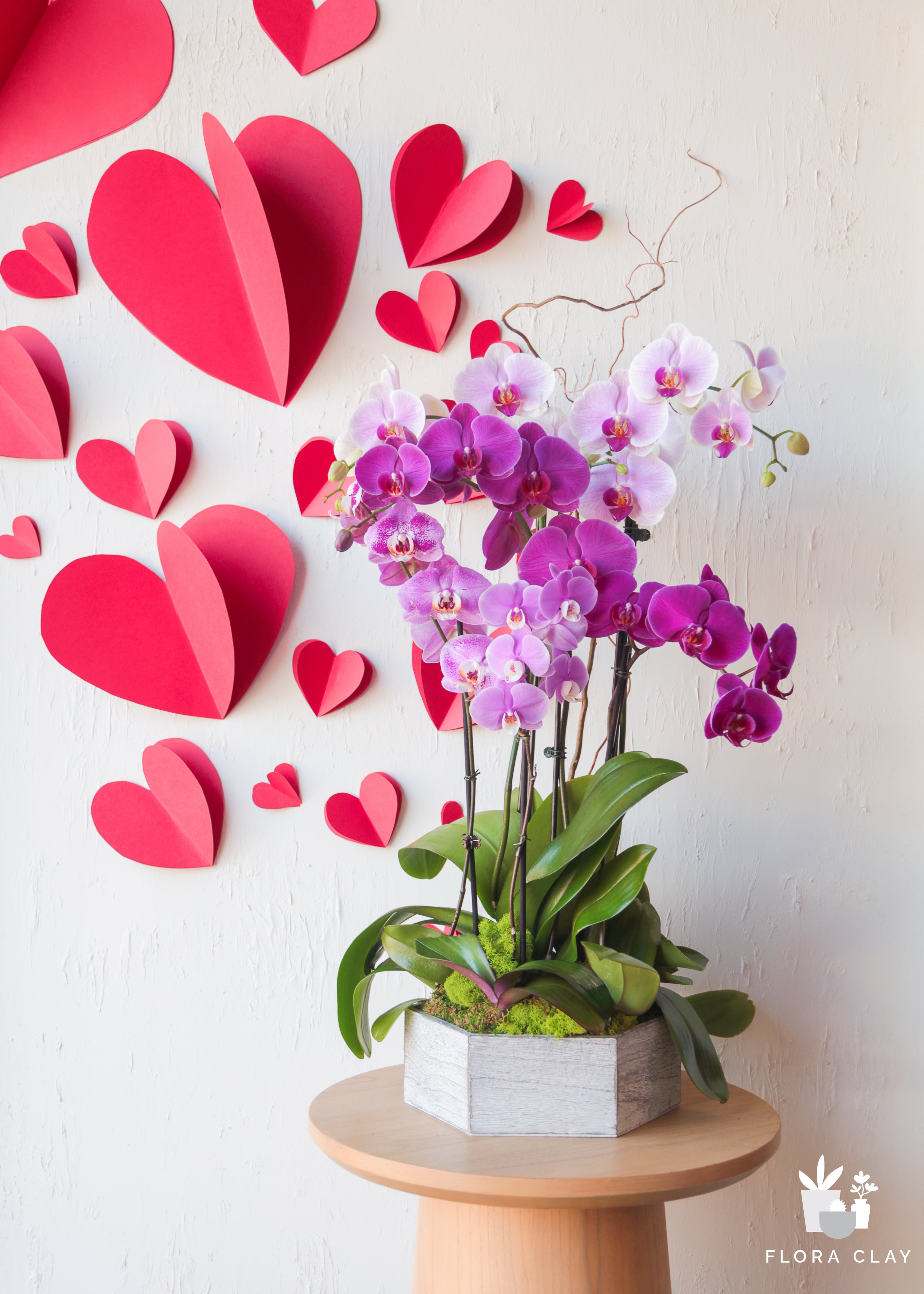 mothers-garden-orchid-arrangement-floraclay-1.jpg
