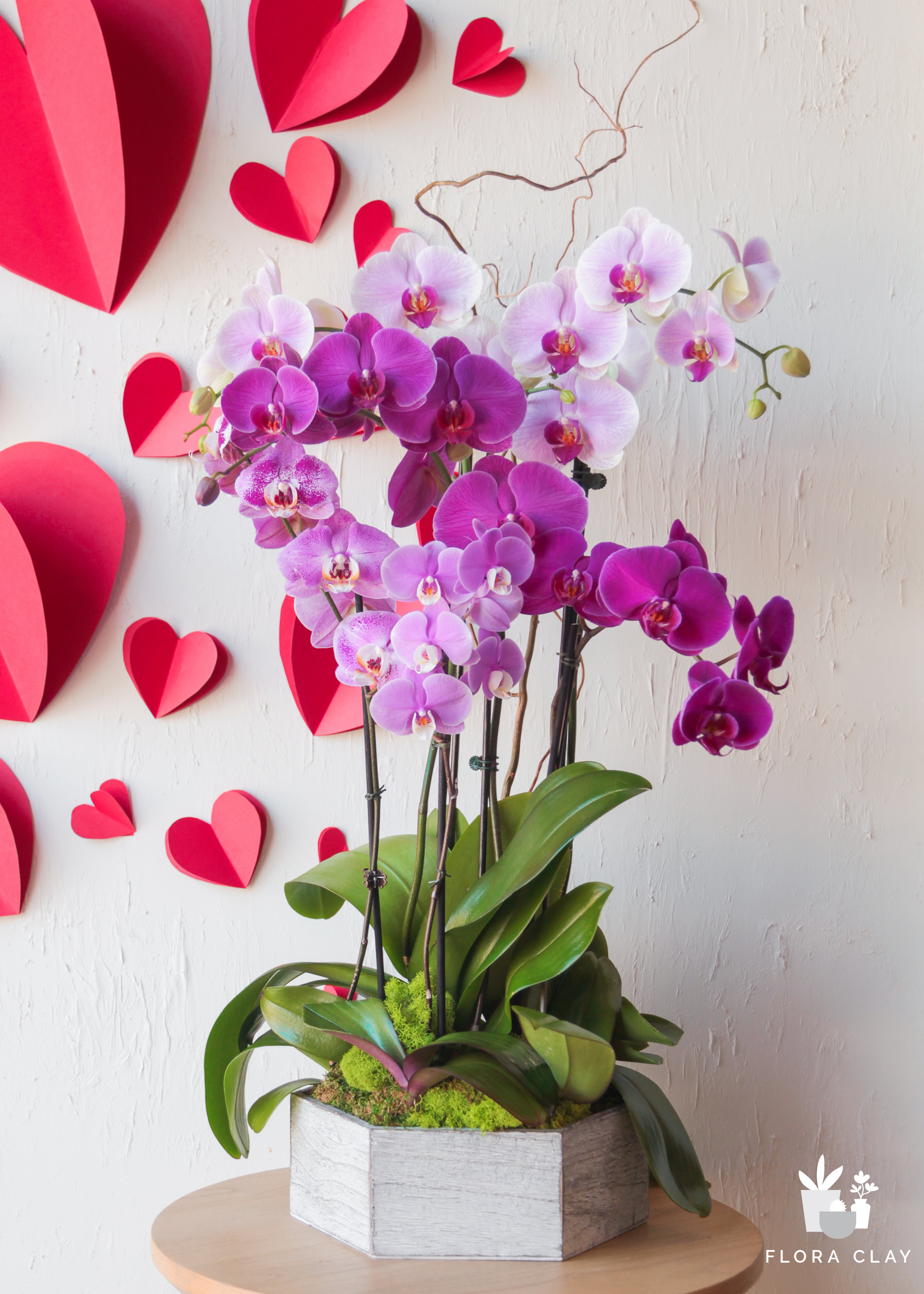 mothers-garden-orchid-arrangement-floraclay-2.jpg