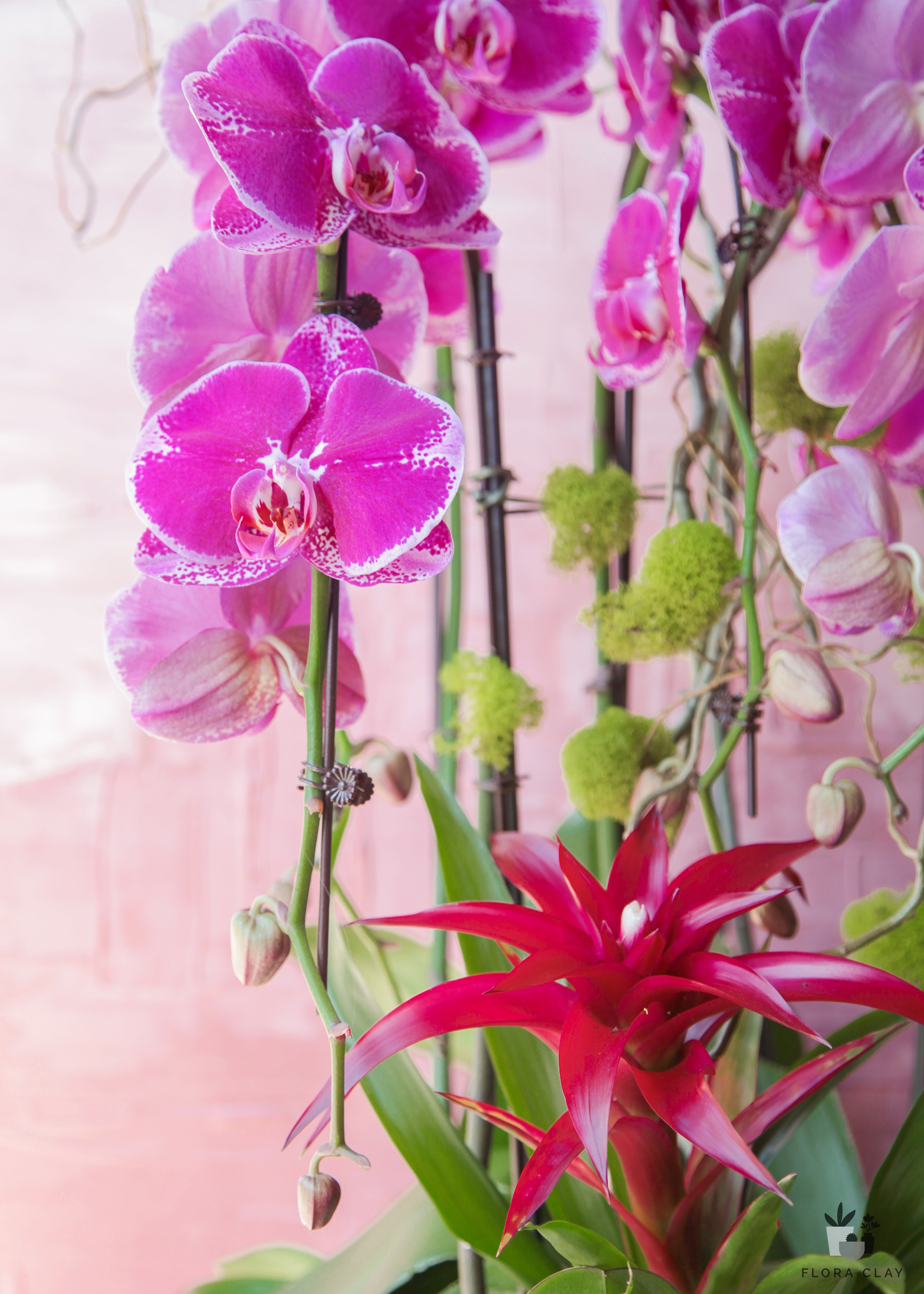 my-life-orchid-arrangement-floraclay-2.jpg