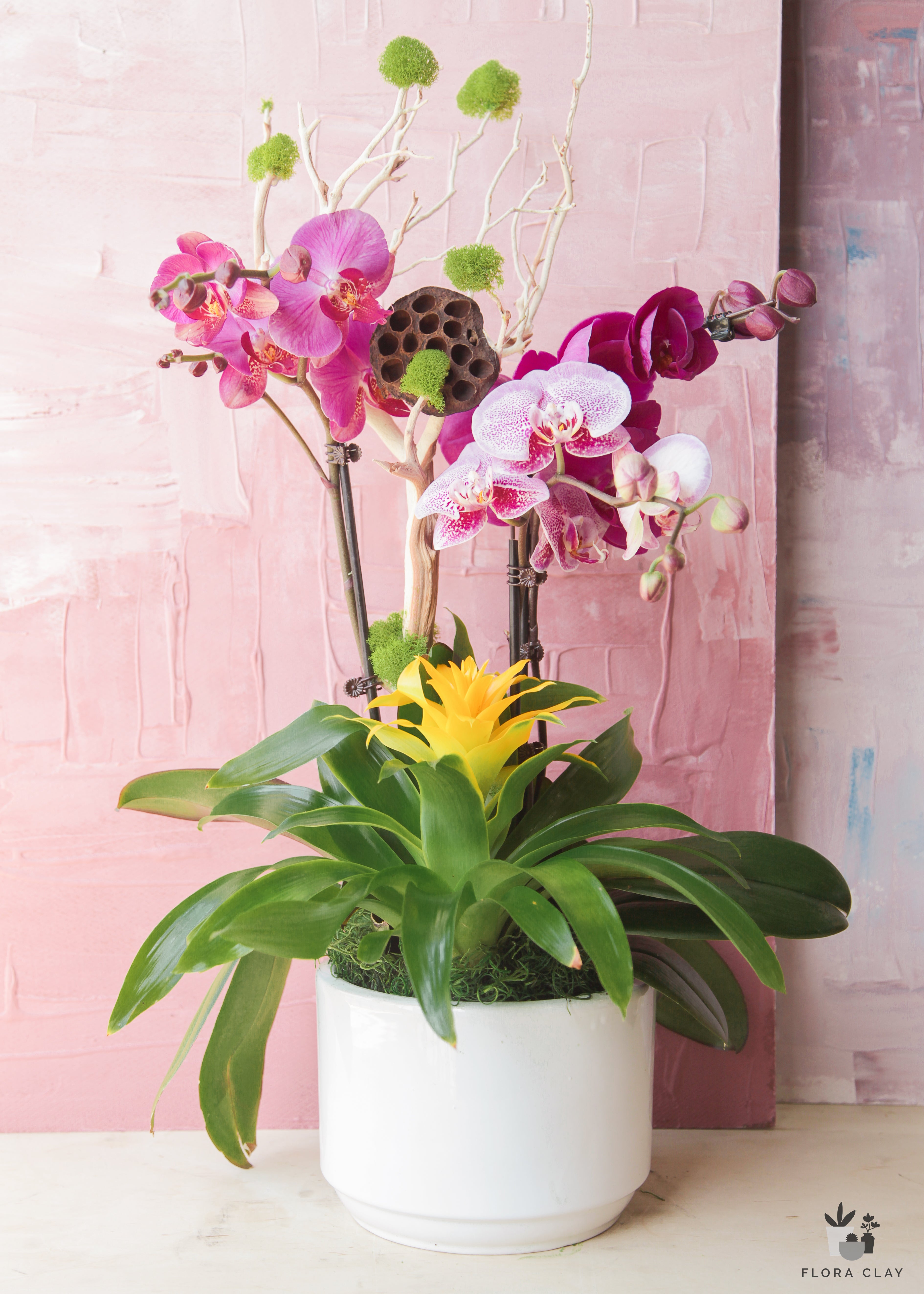 my-rock-orchid-arrangement-floraclay-1.jpg