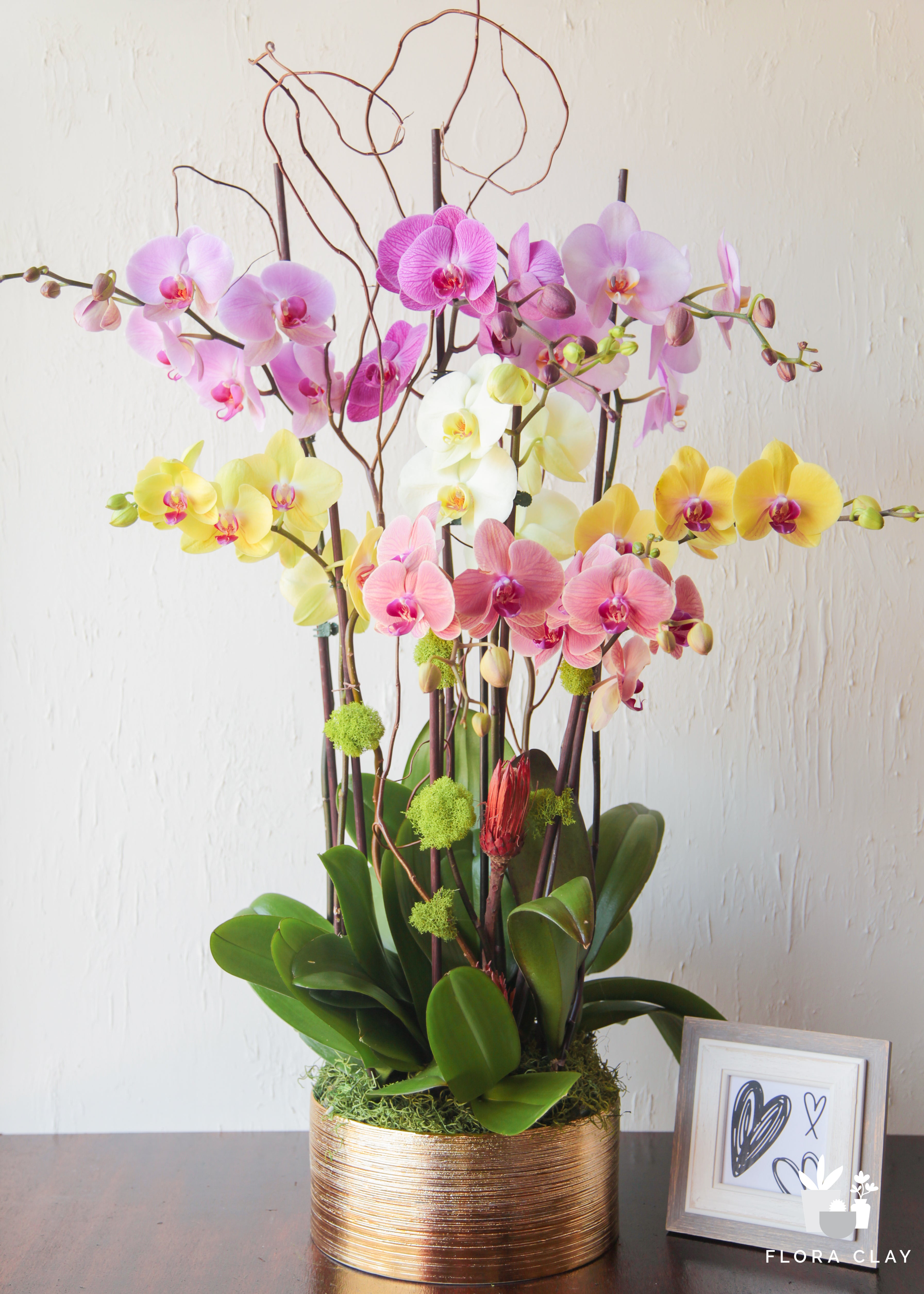 my-world-orchid-arrangement-floraclay-1_9e5de21d-5722-4b19-9dc5-8cb17fcd678c.jpg
