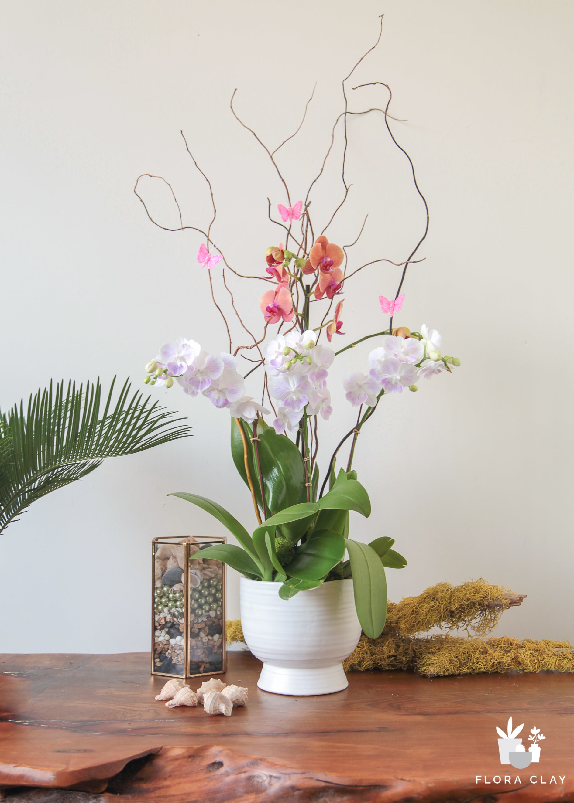 nabi-orchid-arrangement-floraclay-1.jpg