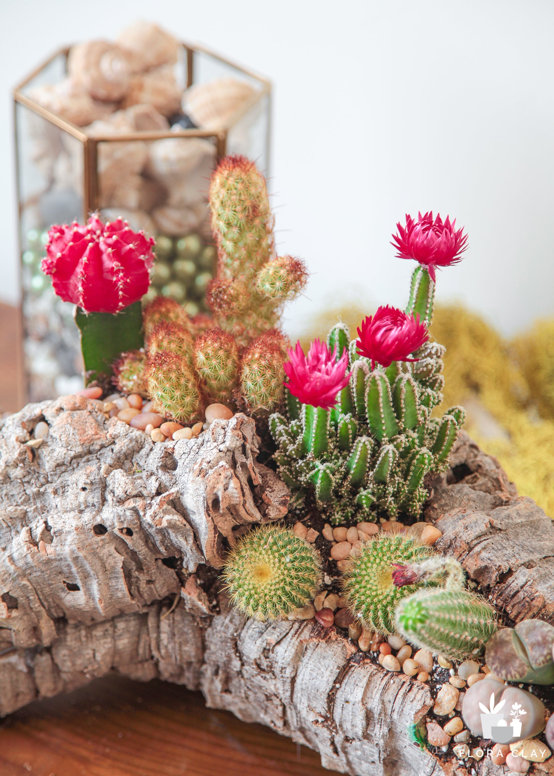 natures-vitality-cactus-arrangement-floraclay-6.jpg