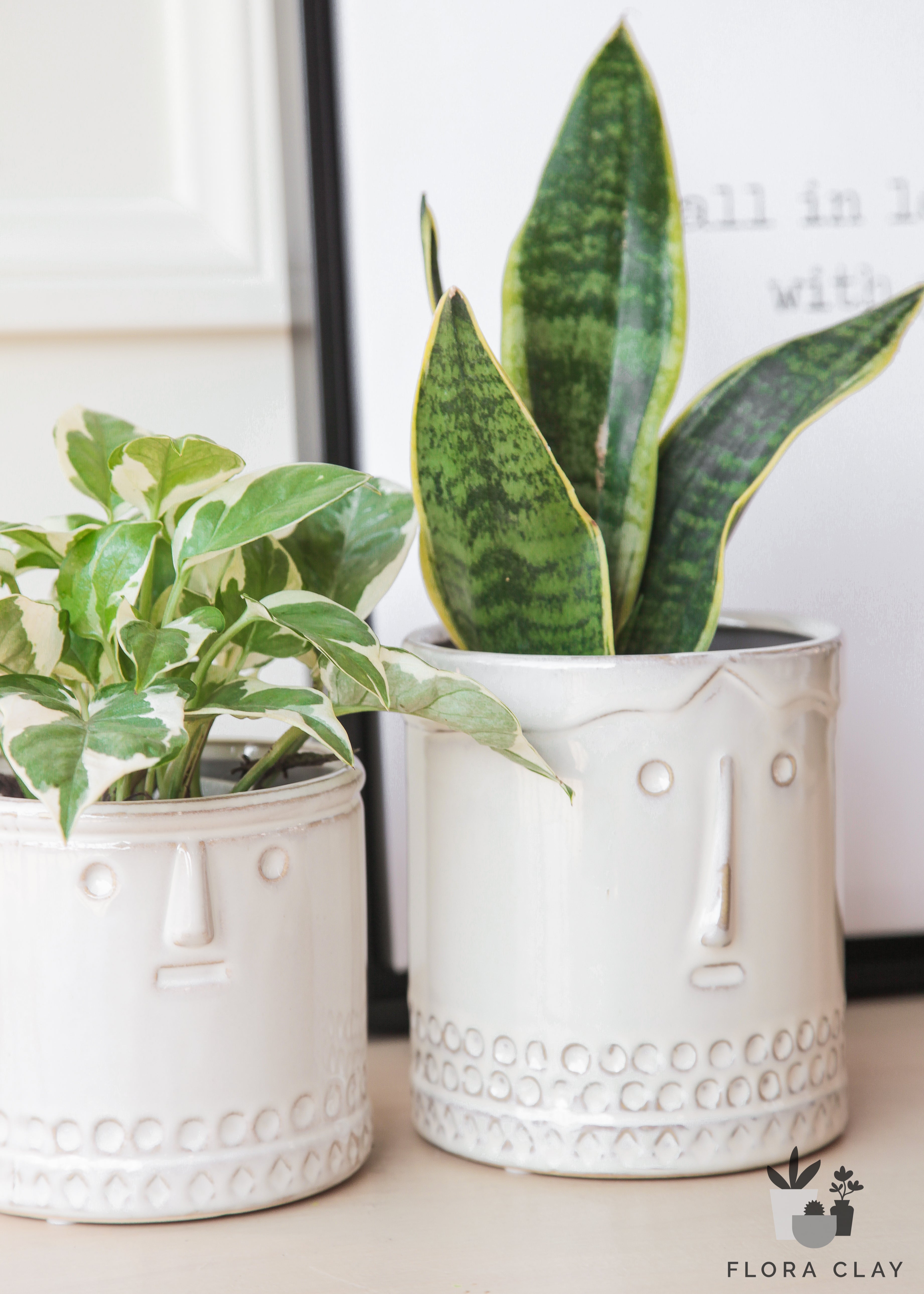 Pb & J Couple | Plant Arrangements – FLORA CLAY
