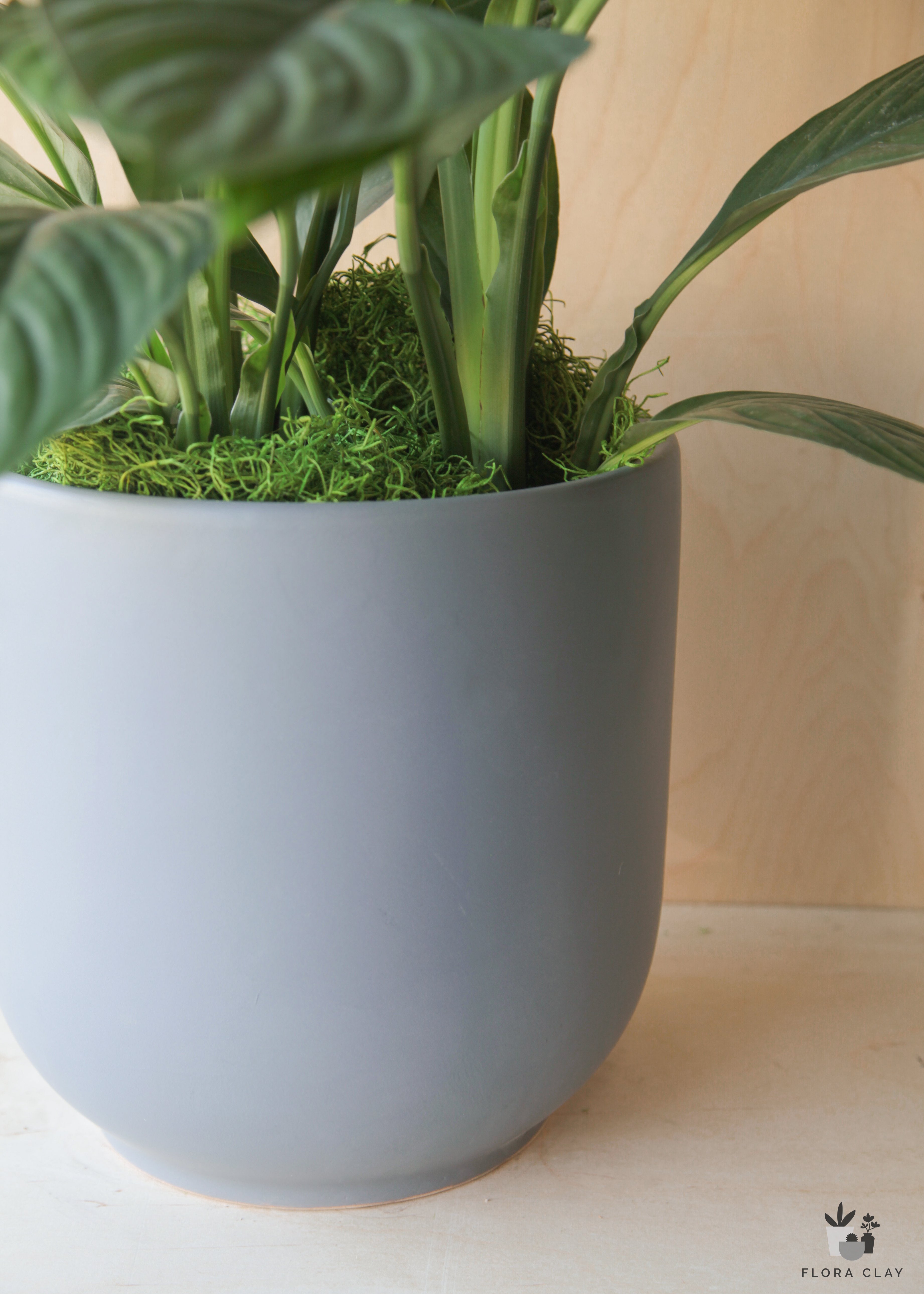 Peace Lily in Blue Grey