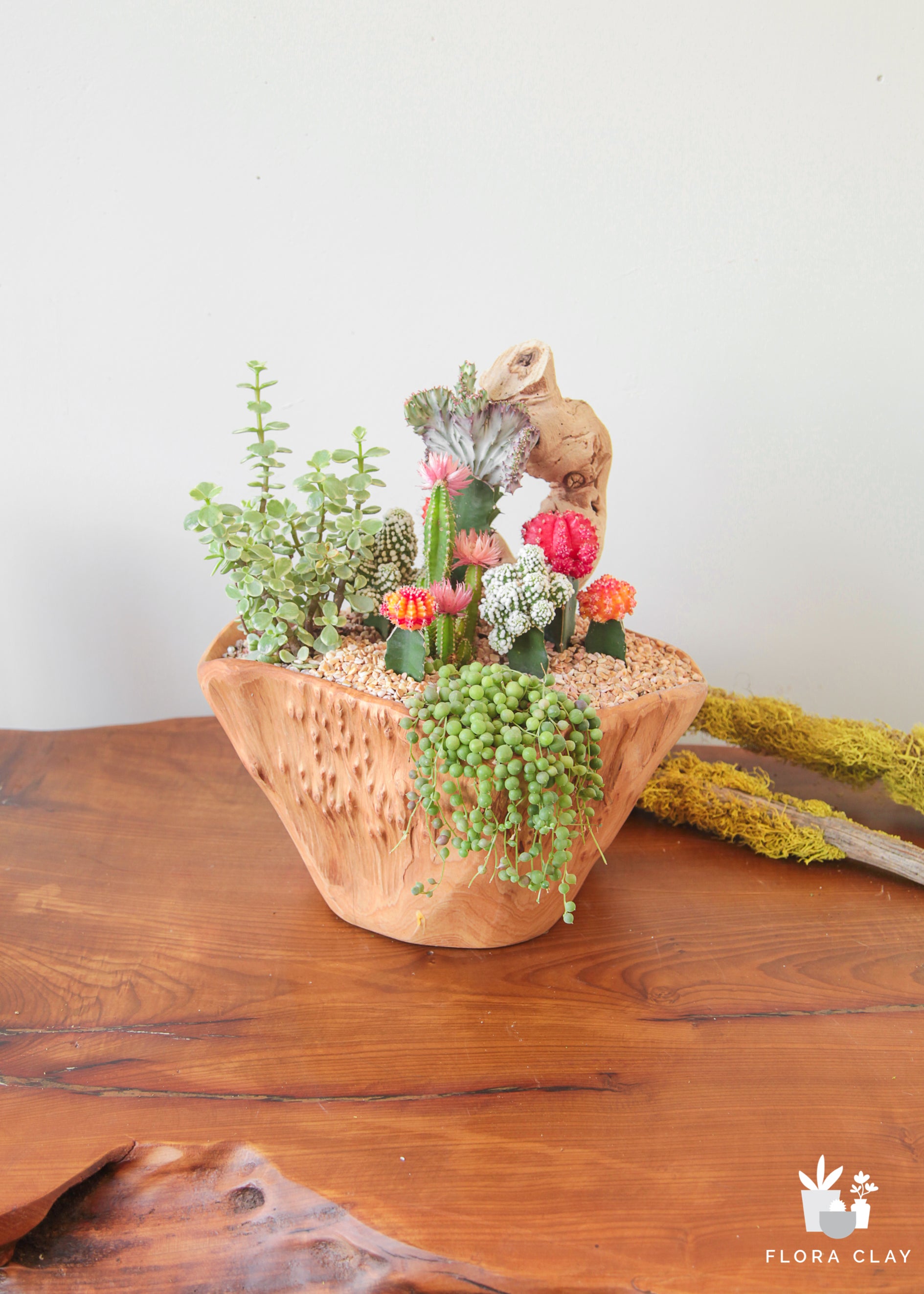 pearl-cascade-cactus-arrangement-floraclay-1.jpg