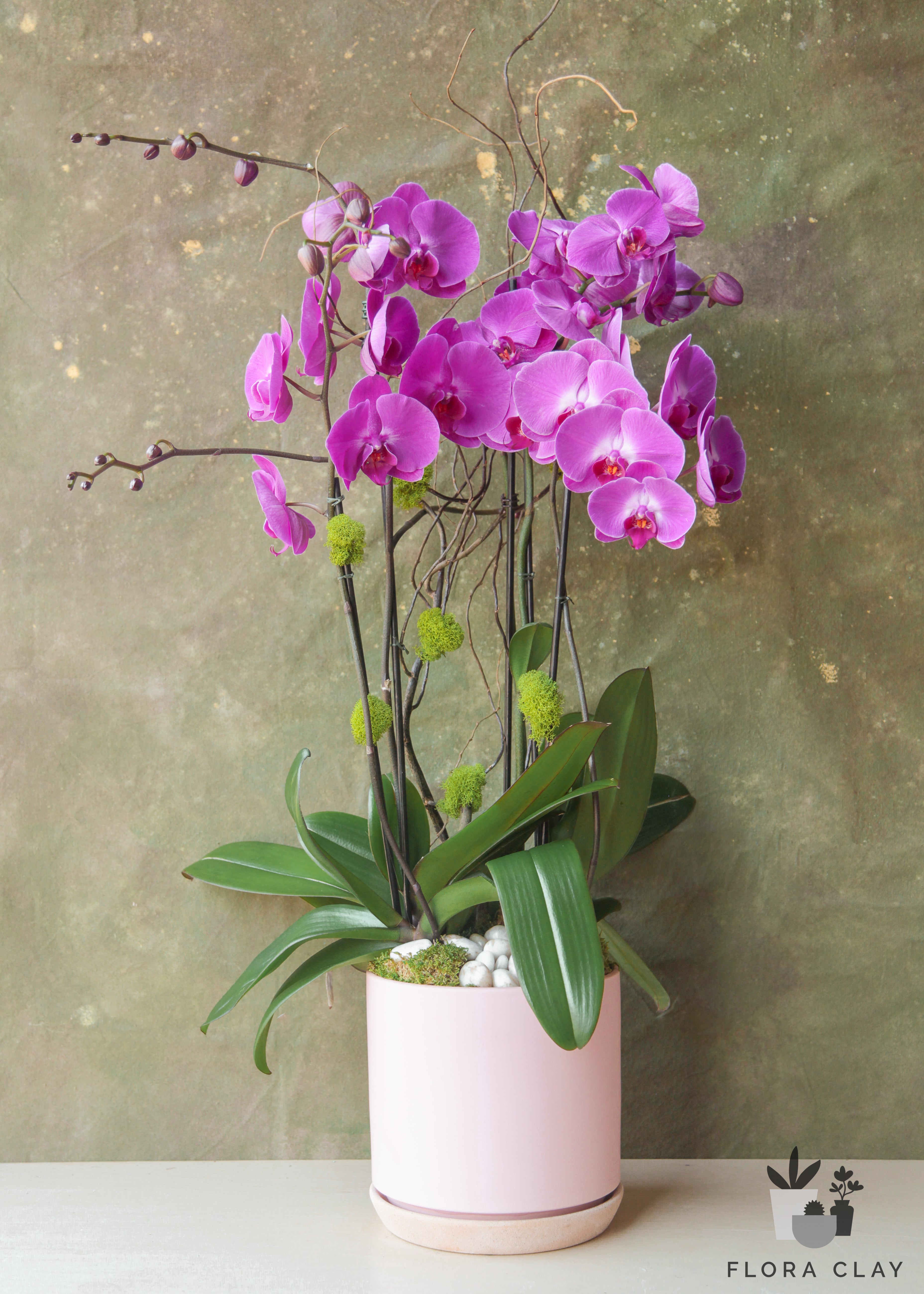 pink-stars-orchid-arrangement-floraclay-1.jpg