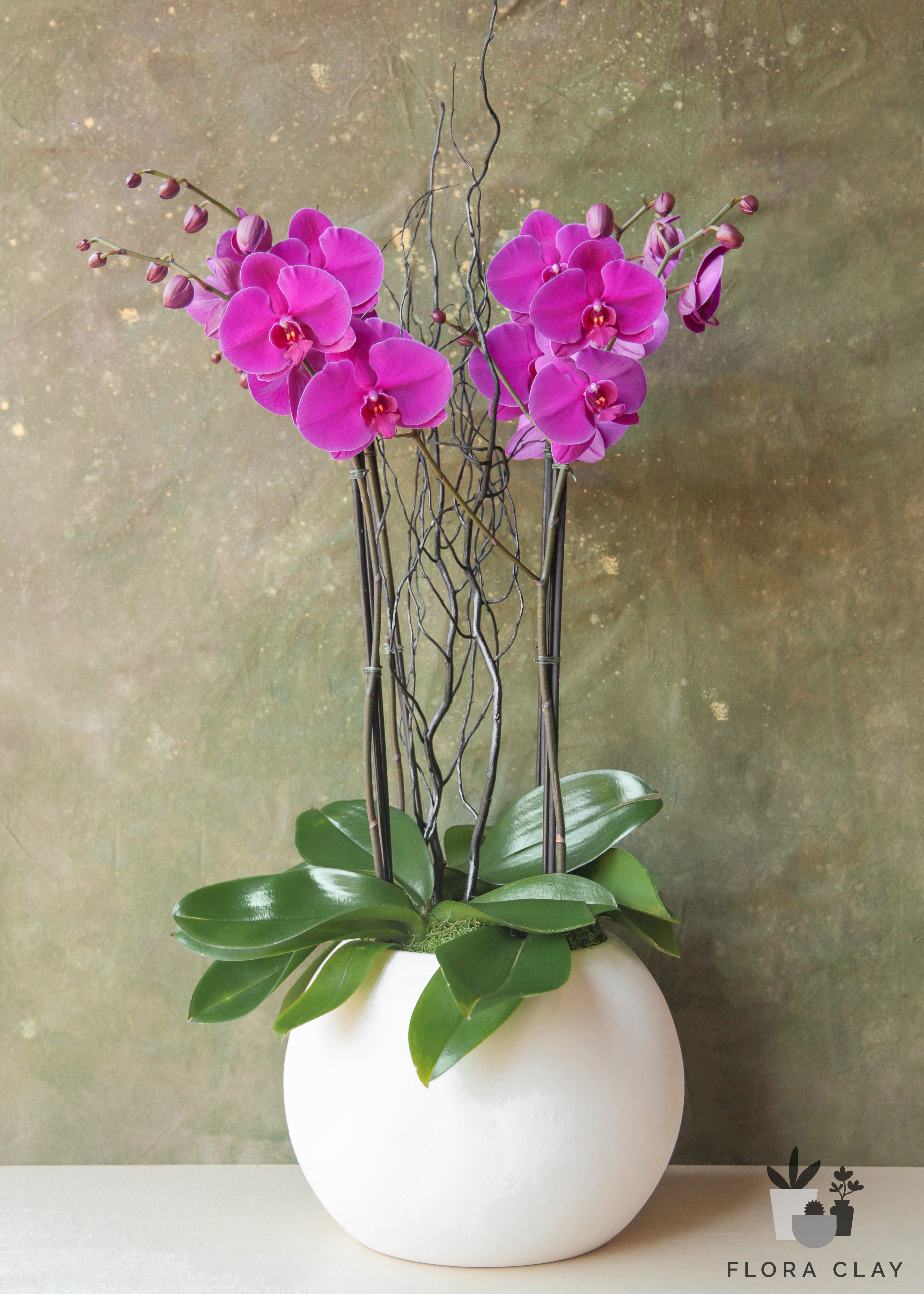 pink-venus-orchid-arrangement-floraclay-1.jpg