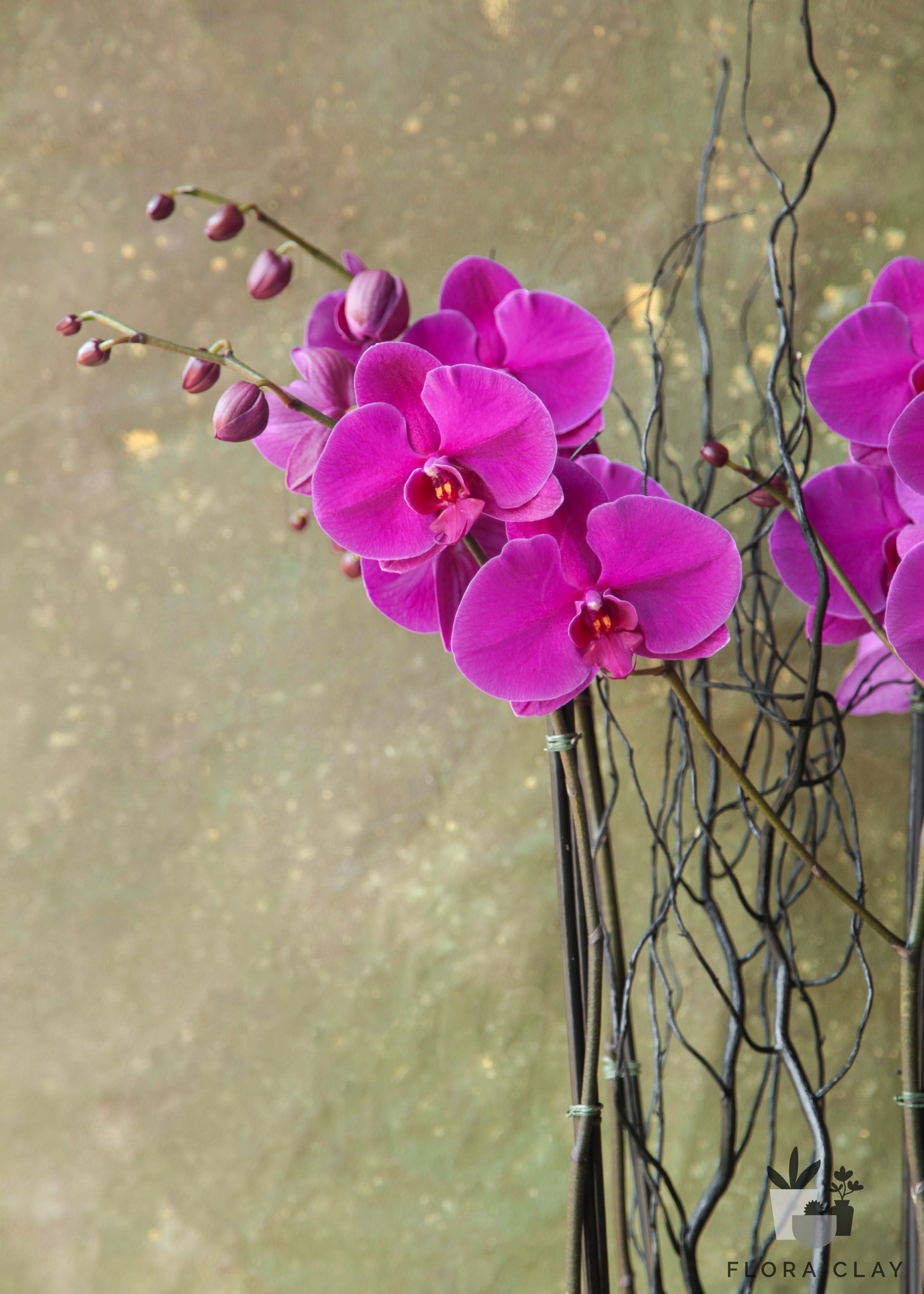 pink-venus-orchid-arrangement-floraclay-2.jpg