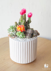 A small potted plant arrangement featuring various succulents and cacti with colorful flowers, presented in a white container with vertical grooves.