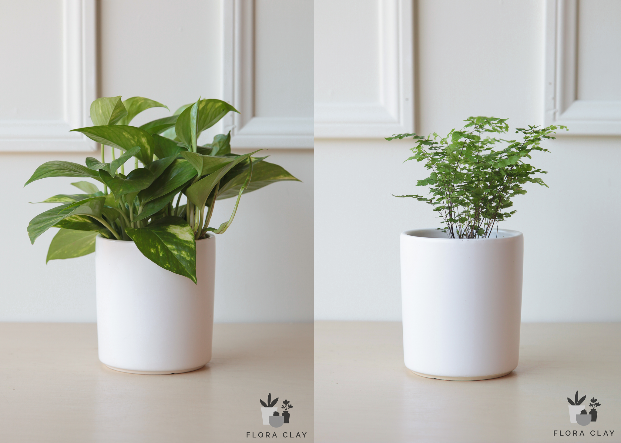 pothos planter Pb & J Couple