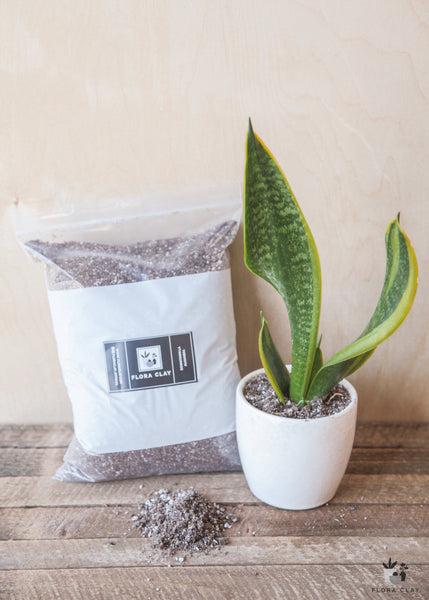 clay potting mix Potting Soil