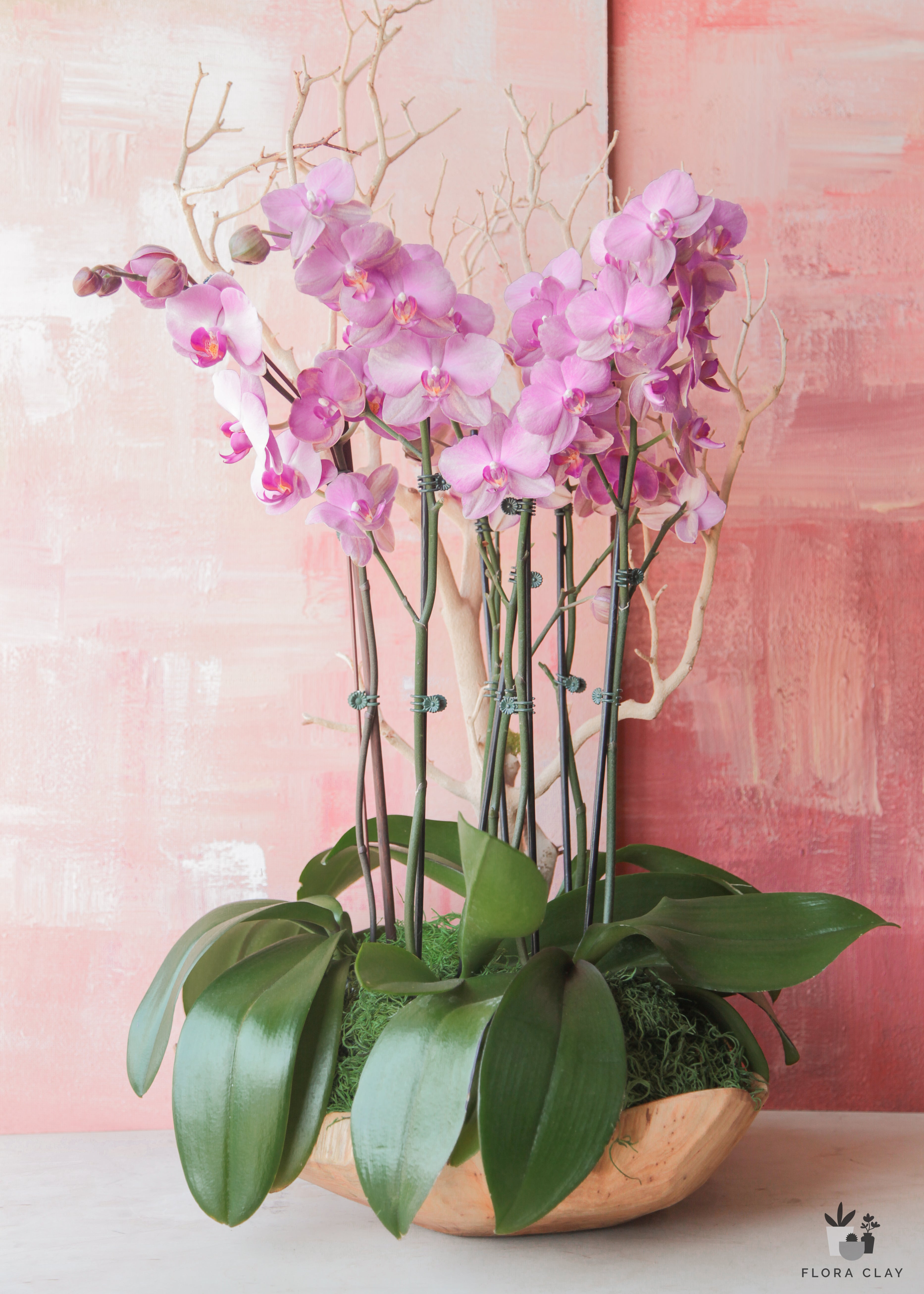 ps-ily-orchid-arrangement-floraclay-1.jpg