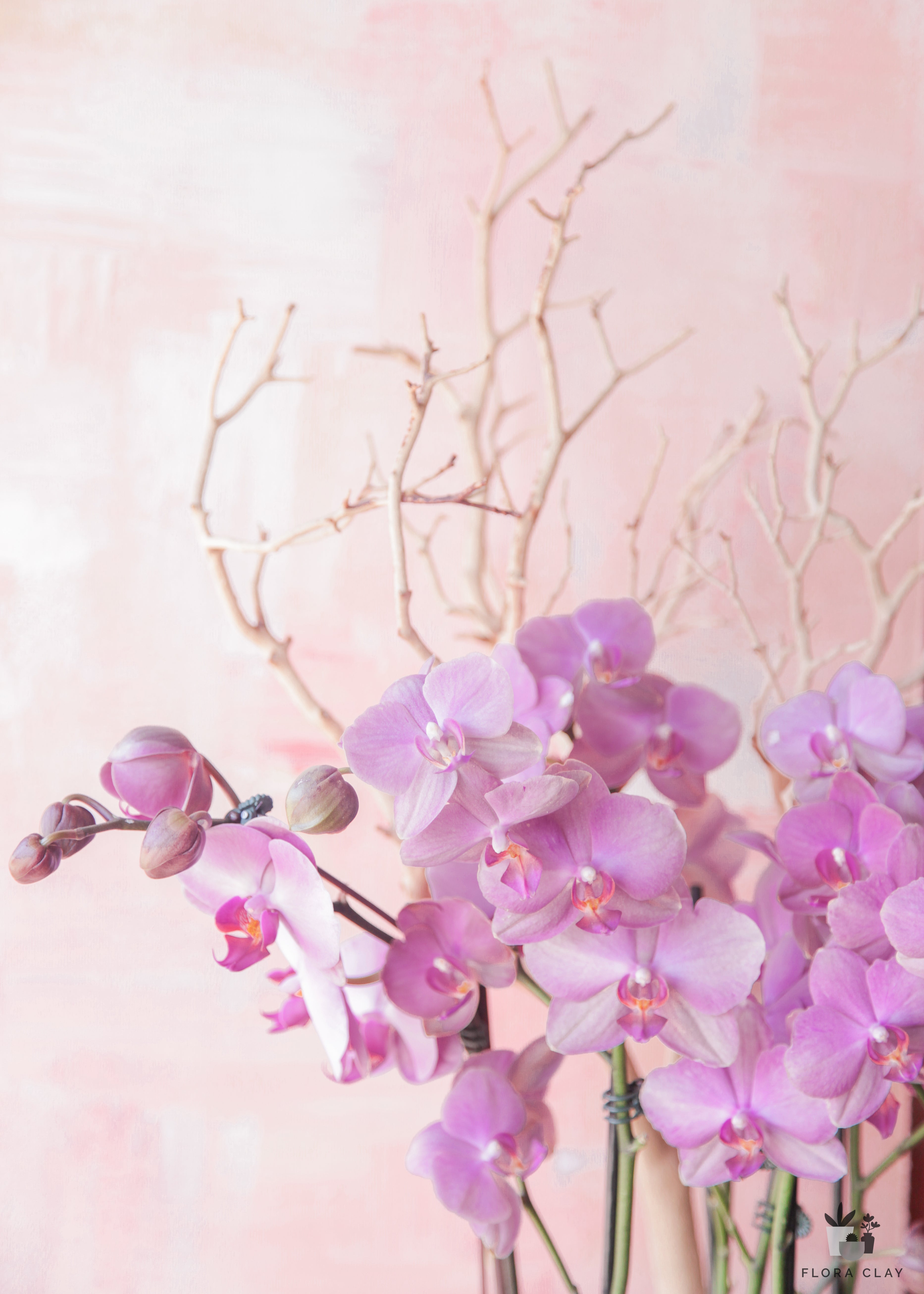 ps-ily-orchid-arrangement-floraclay-3.jpg