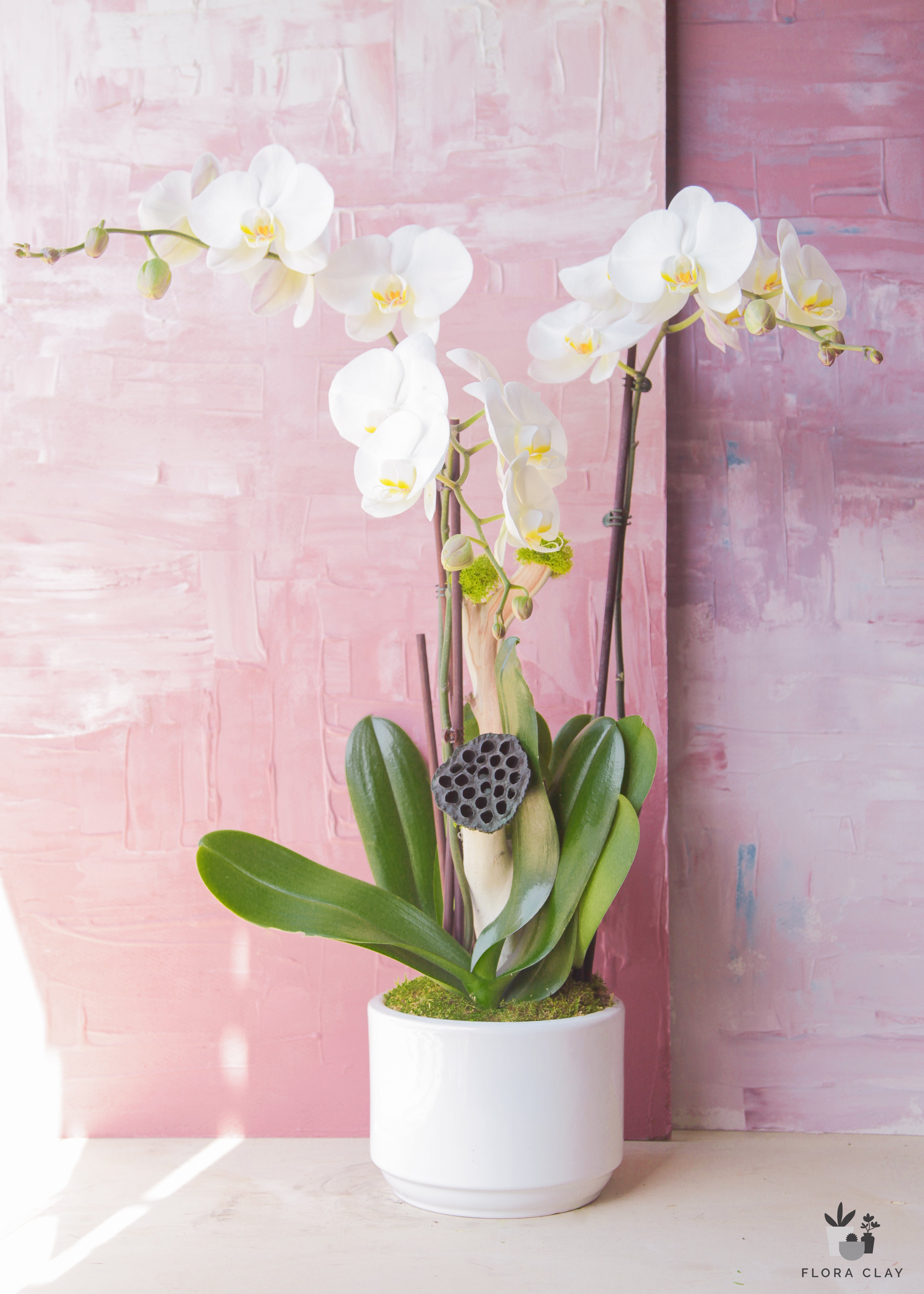 purest-love-orchid-arrangement-floraclay-1.jpg