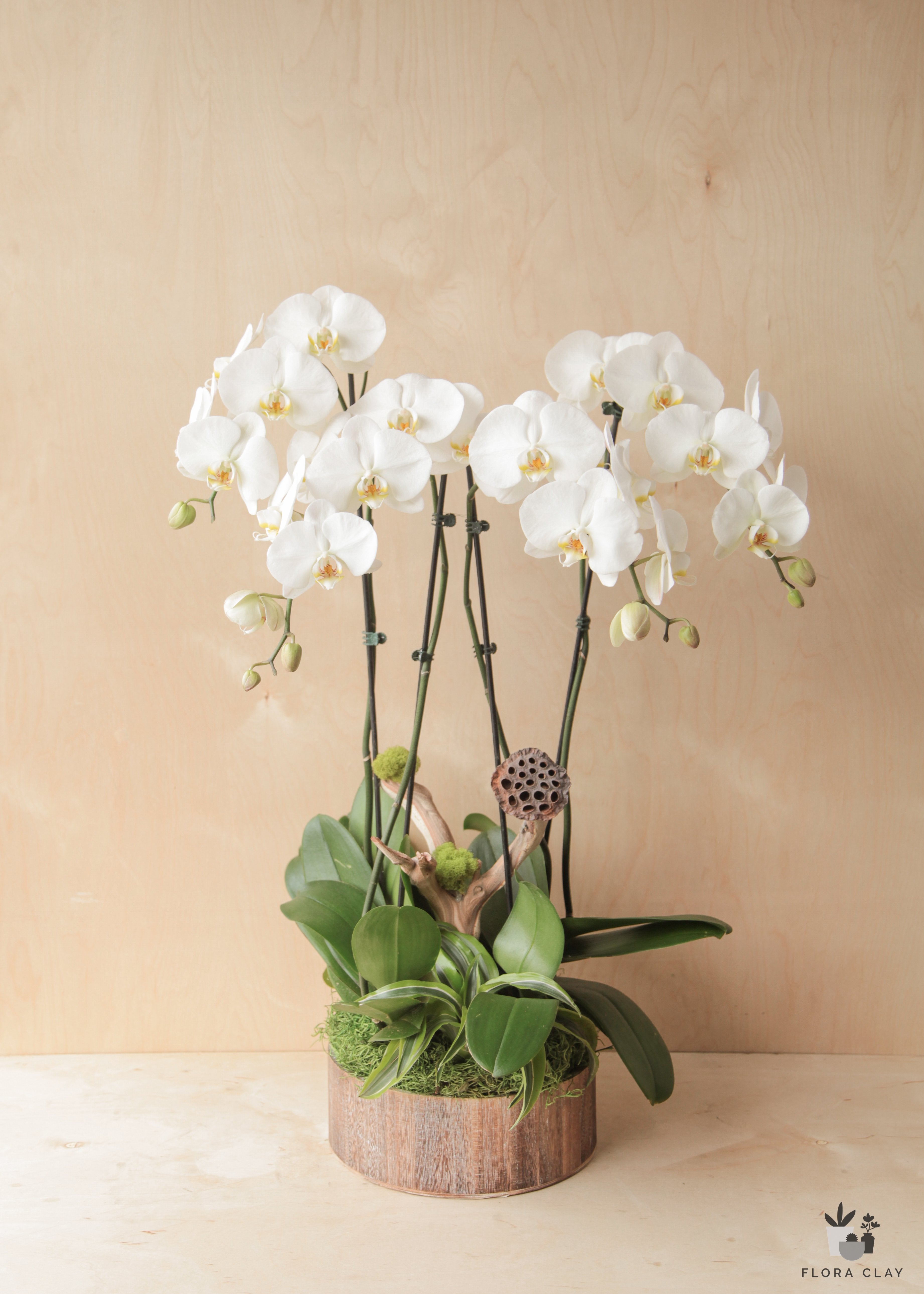 scandinavia-orchid-arrangement-floraclay-3.jpg
