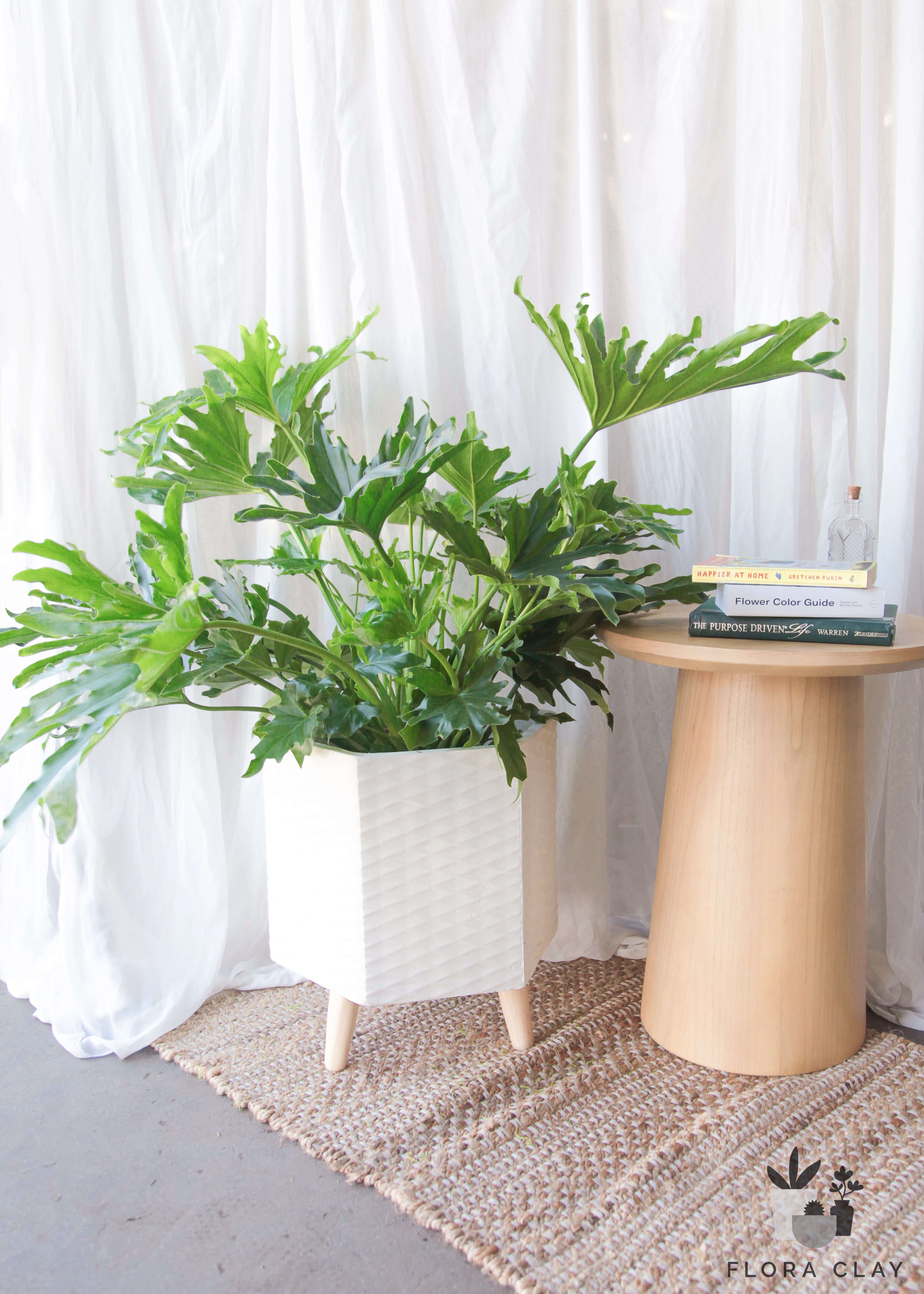 sello-hello-plant-floraclay-5.jpg