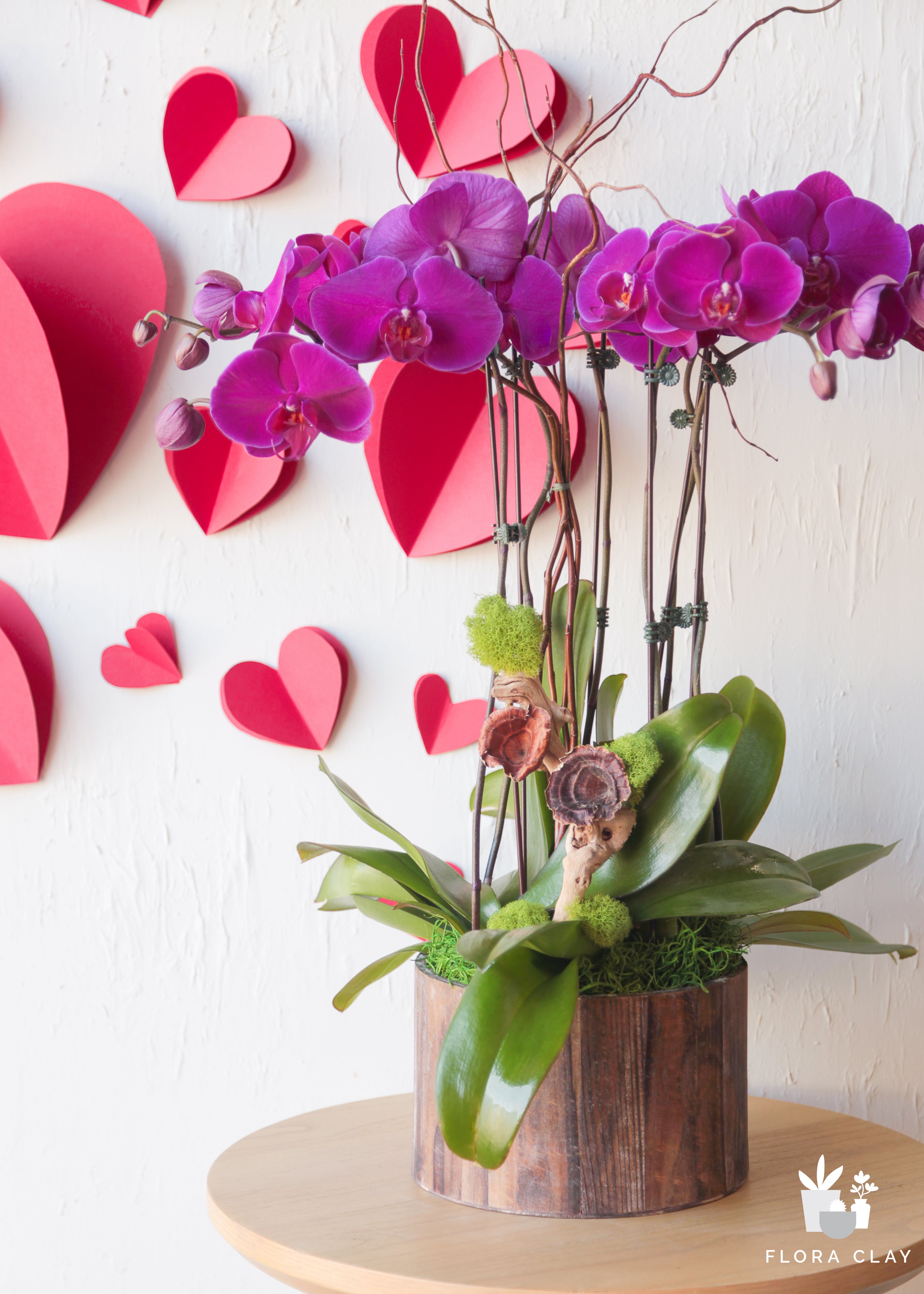 send-mom-love-orchid-arrangement-floraclay-2_c9a9968c-7ded-41ef-b6b2-341bc5230cb7.jpg