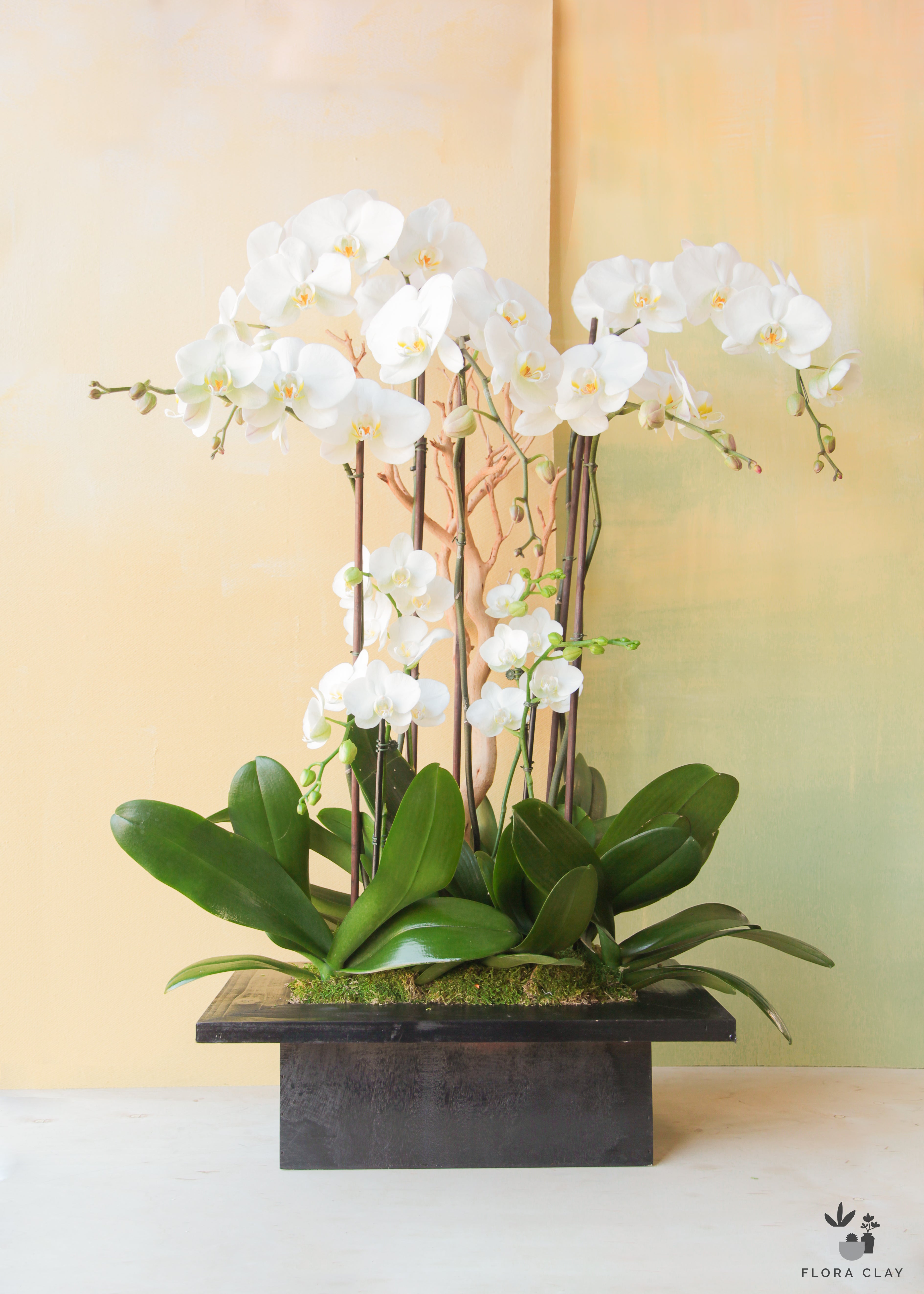 serene_aura-orchid-arrangement-floraclay-1.jpg