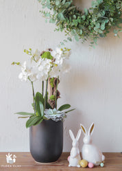 spring-day-orchid-floraclay-2