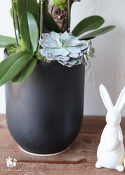 Spring Day White Orchid Arrangement