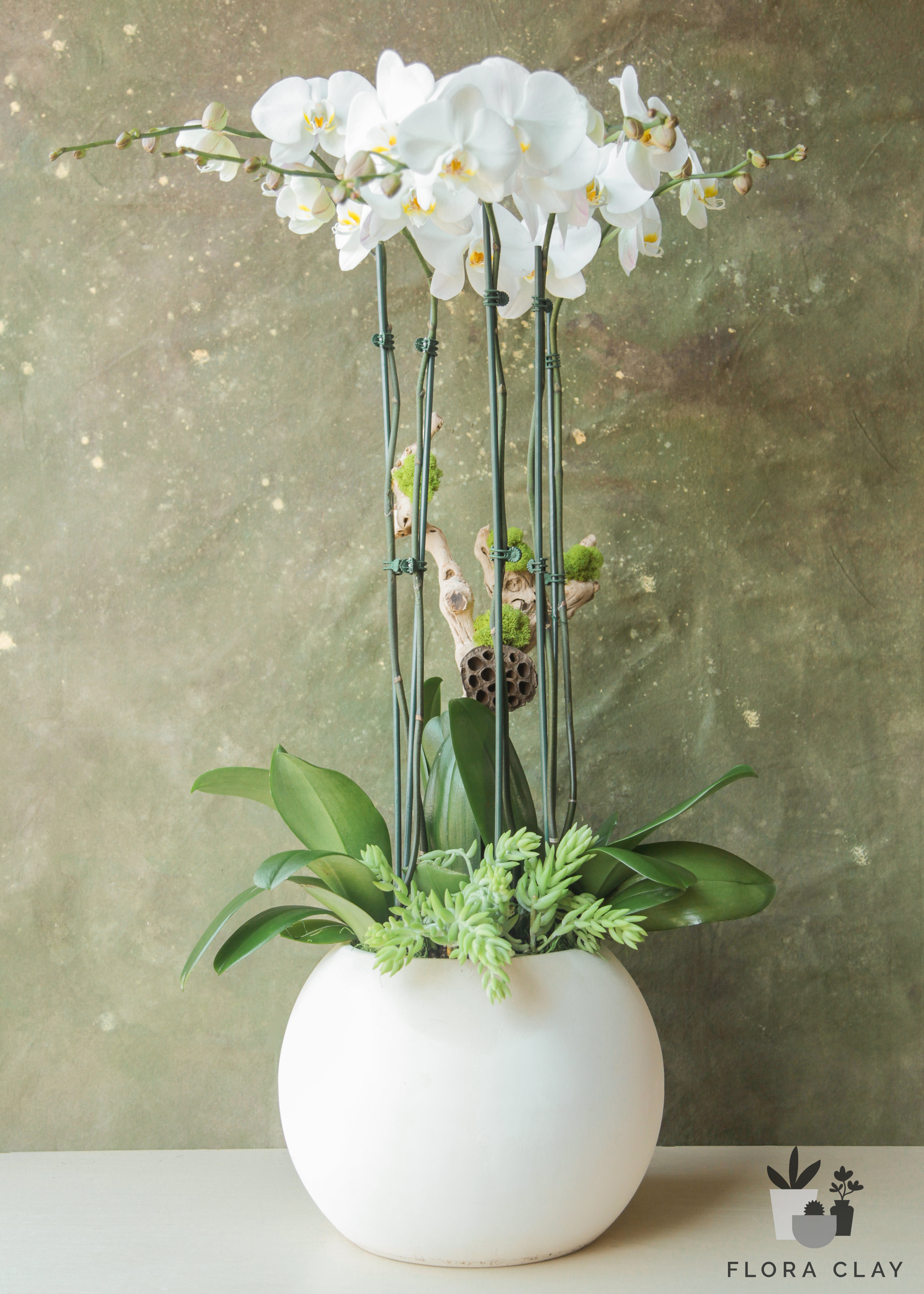 stardust-orchid-arrangement-floraclay-1.jpg