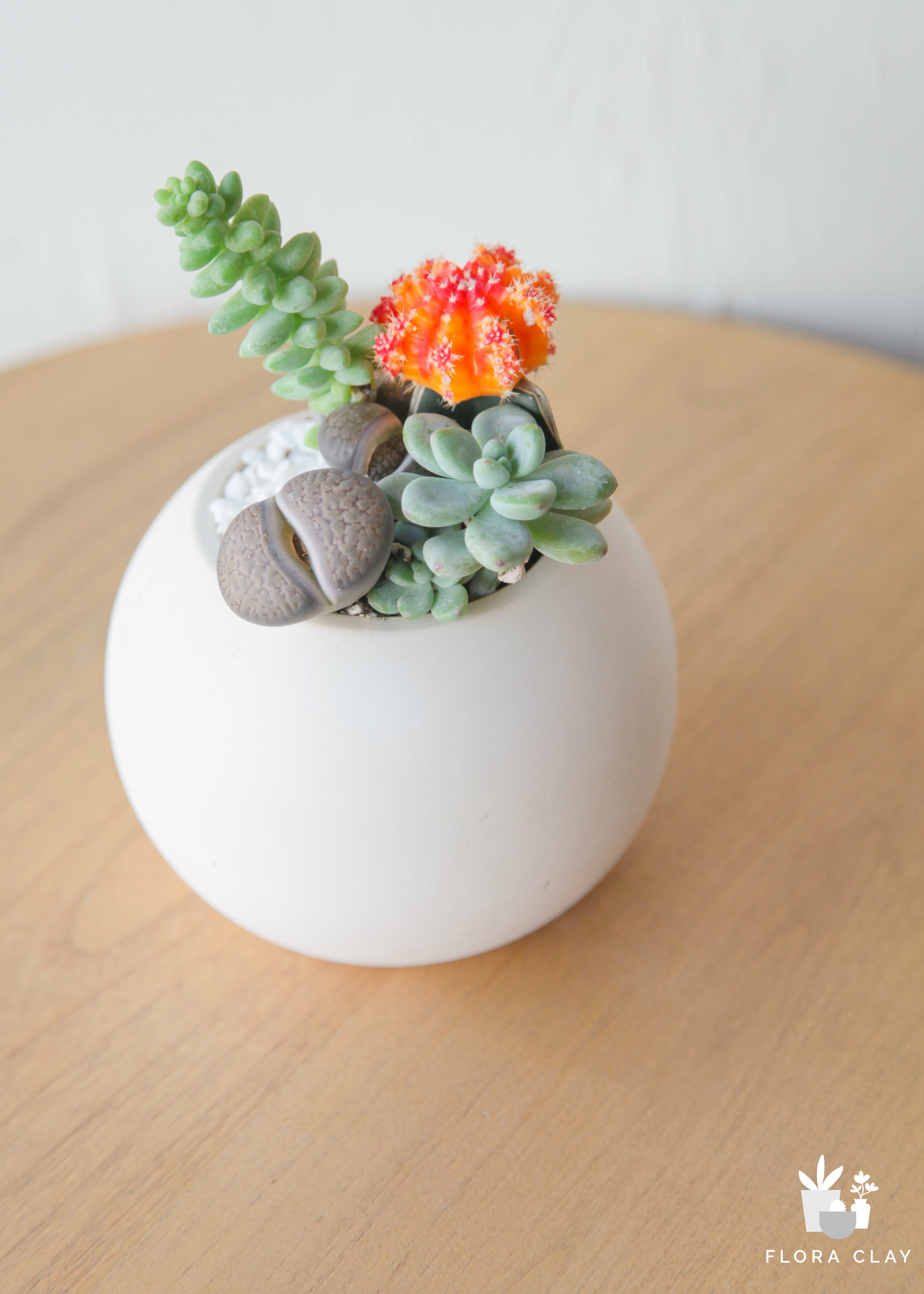stone-ball-cacti-floraclay-1.jpg