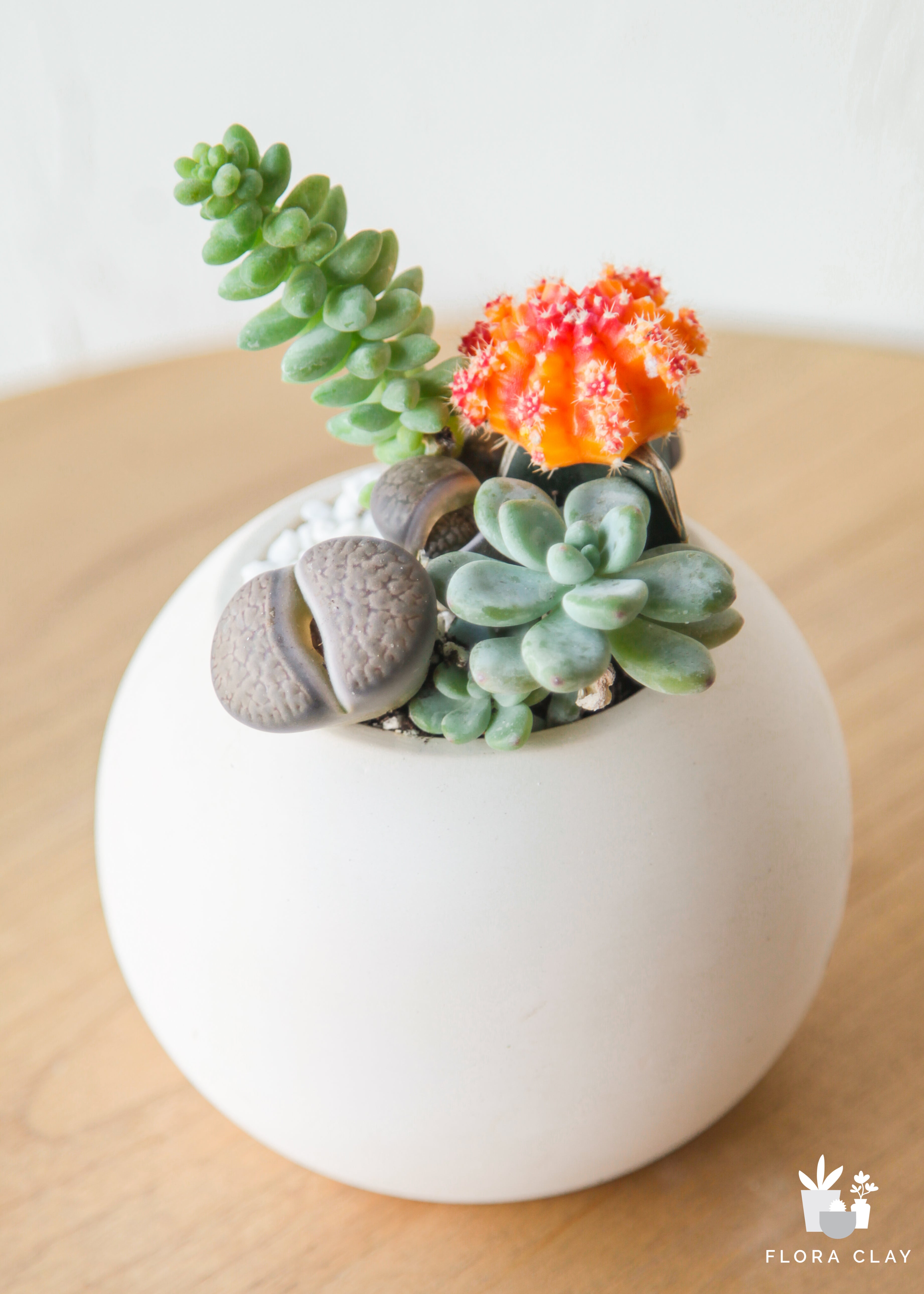 stone-ball-cacti-floraclay-2.jpg