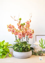 An arrangement of pink and orange orchids in a green and white planter, placed on a table with other decorative items.