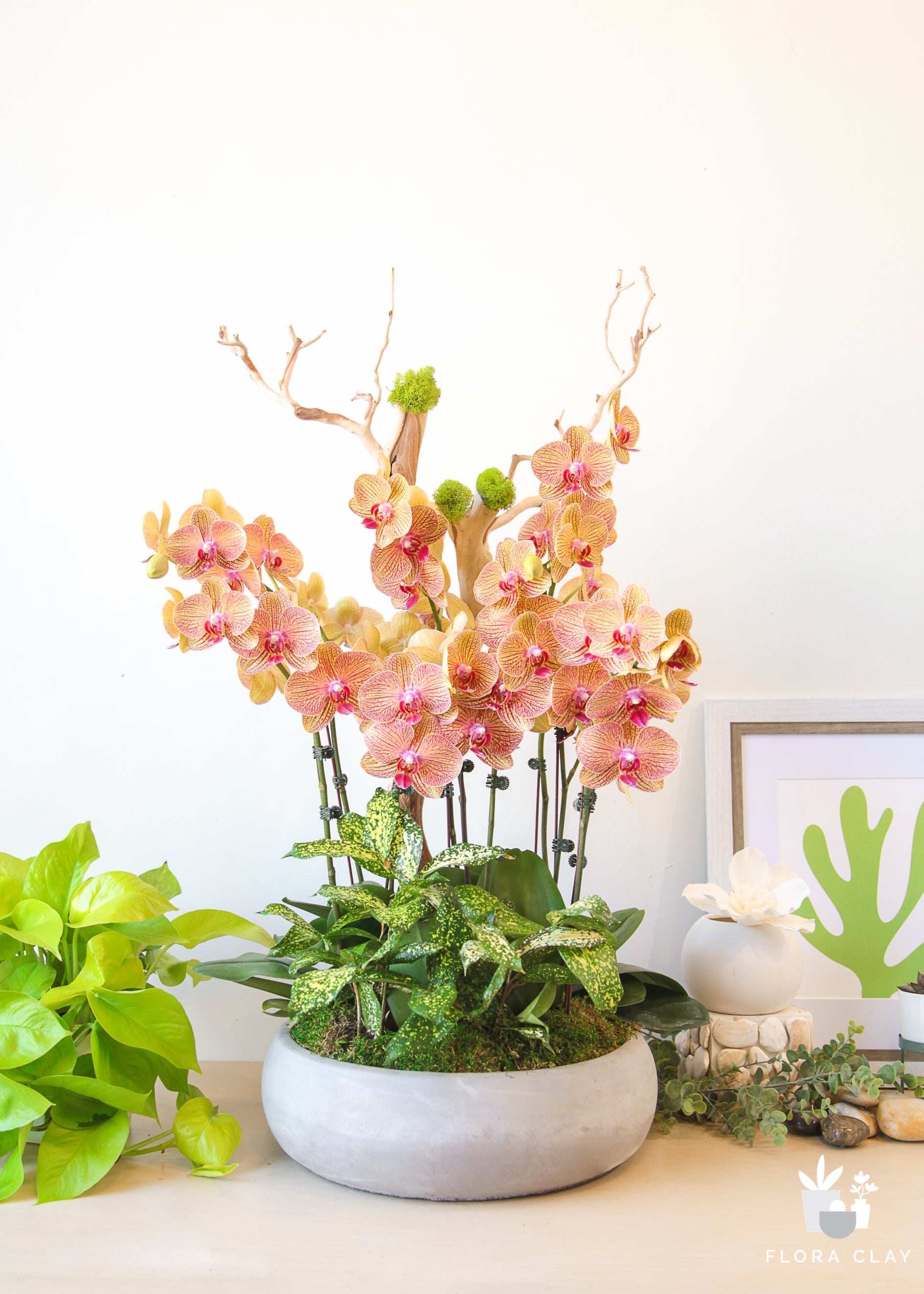 An arrangement of pink and orange orchids in a green and white planter, placed on a table with other decorative items.