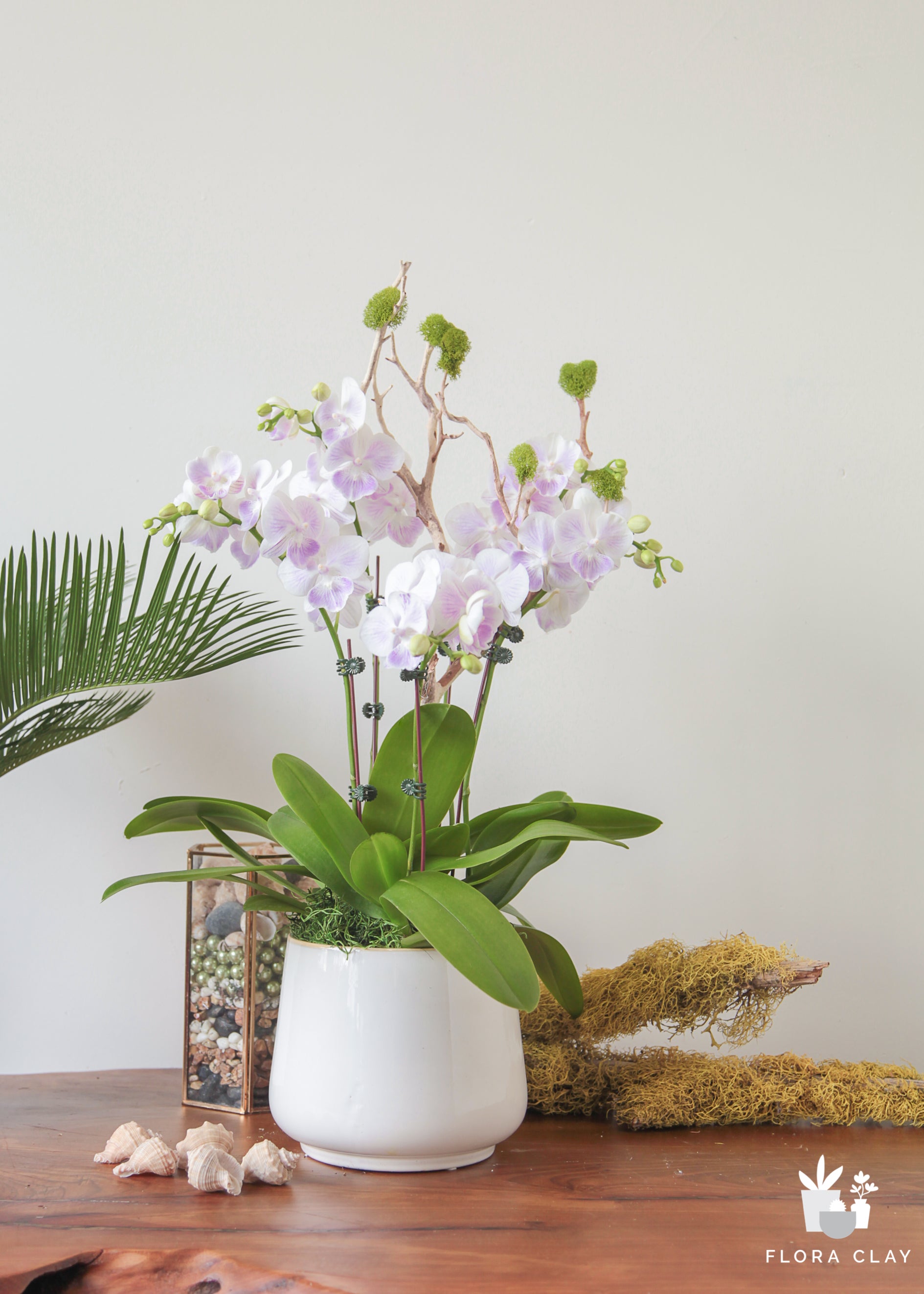 teapot-orchid-arrangement-floraclay-1.jpg