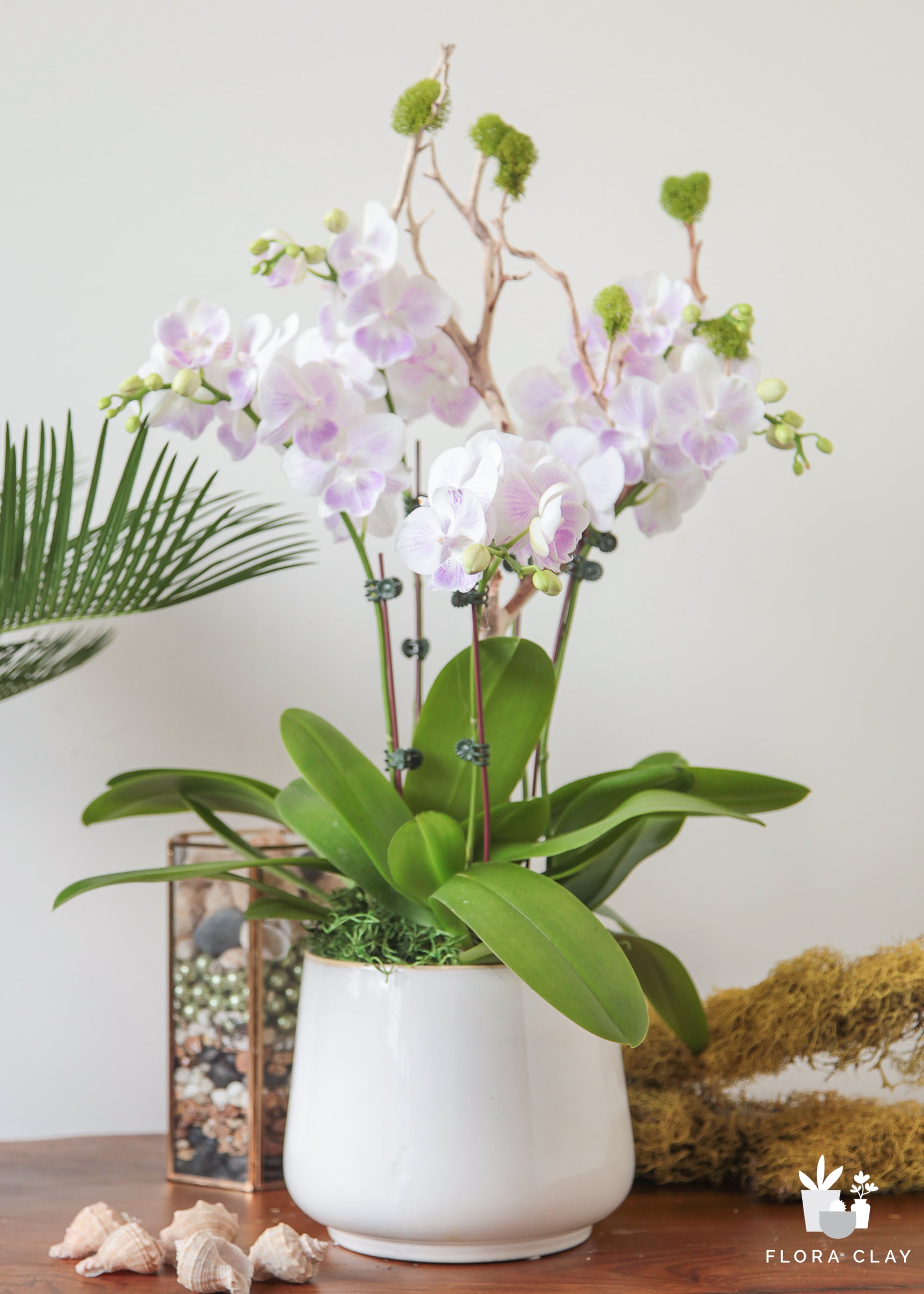 teapot-orchid-arrangement-floraclay-2.jpg