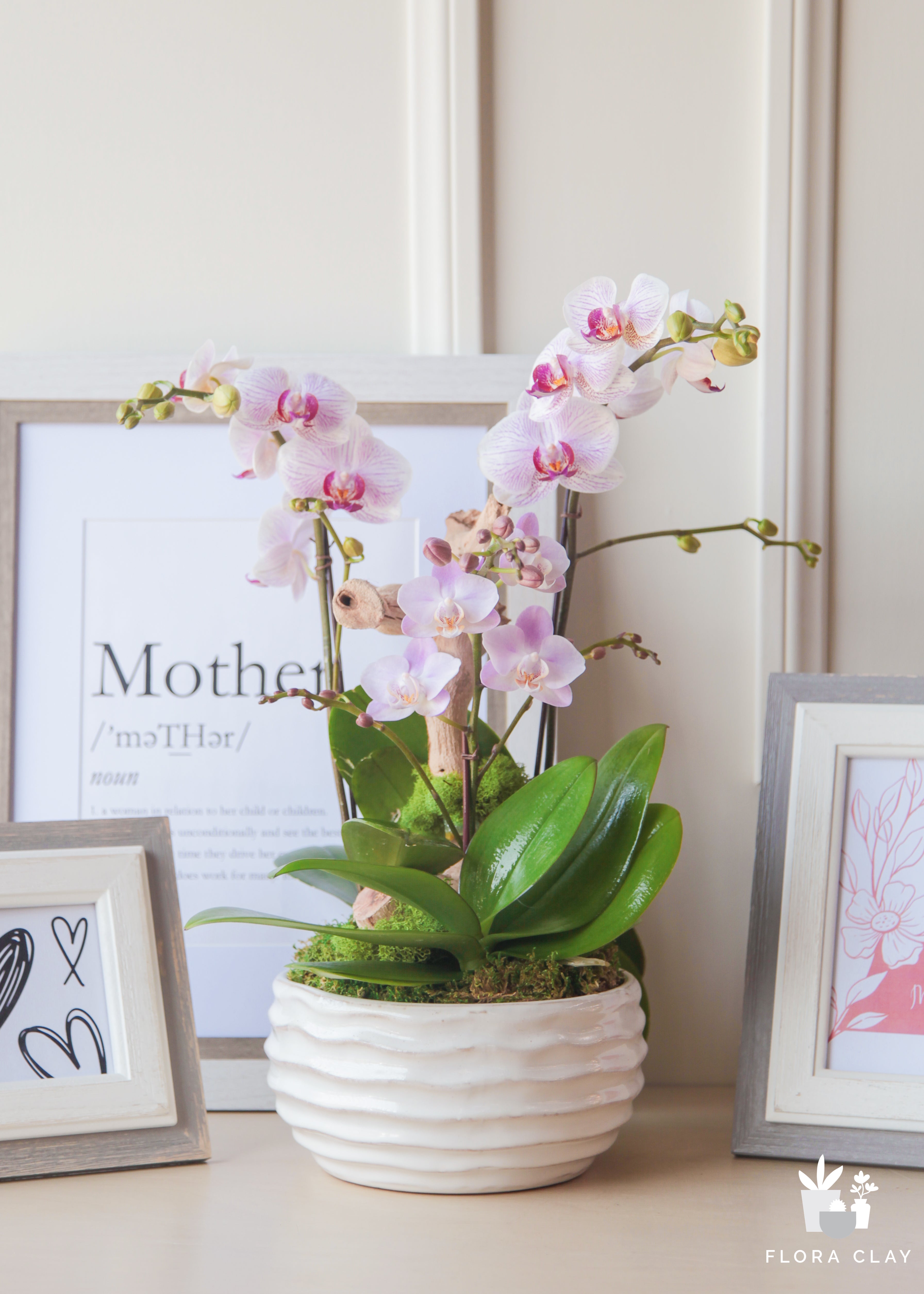 thank-you-mom-orchid-floraclay.jpg