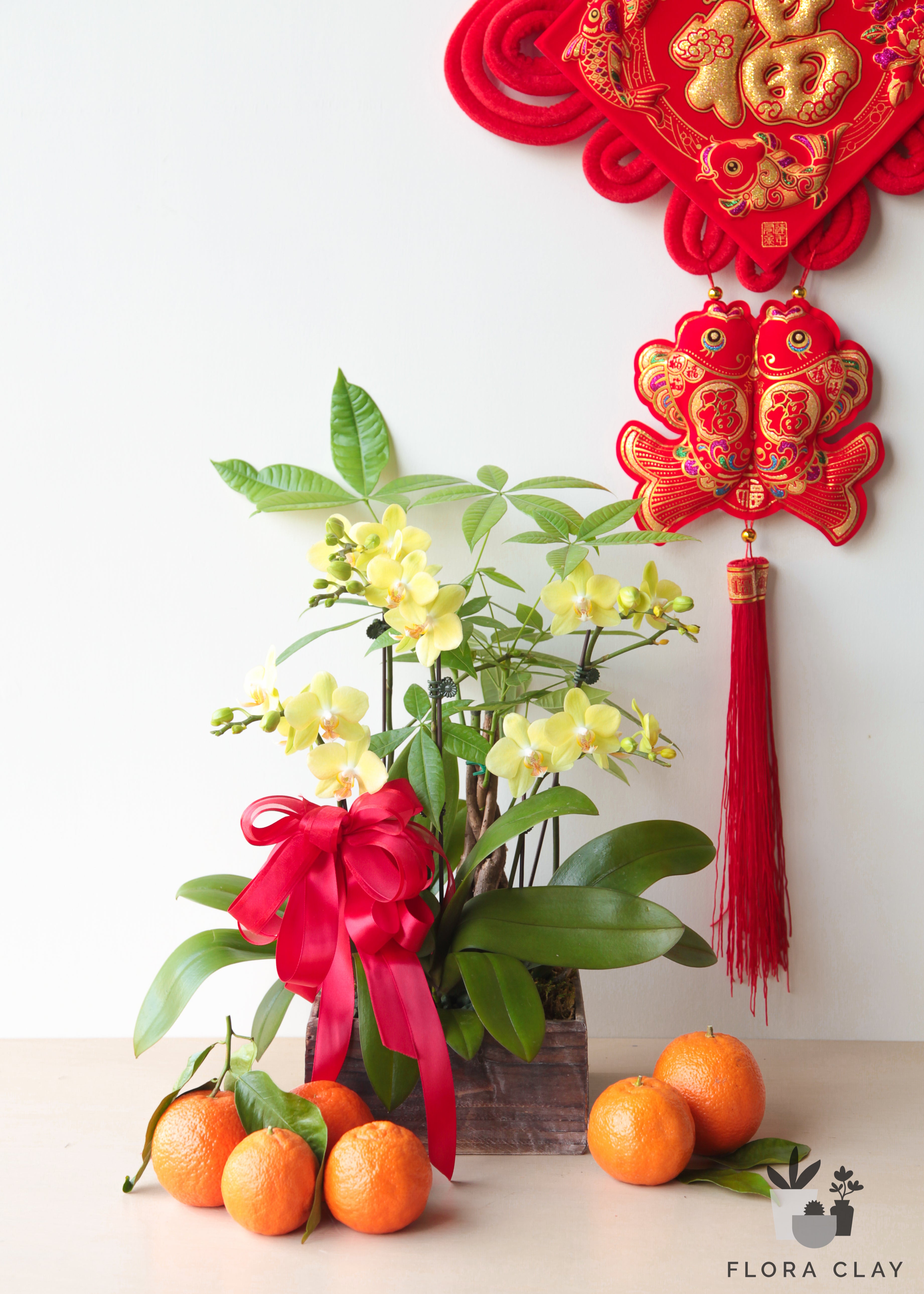 the-luckiest-orchid-arrangement-floraclay-1.jpg