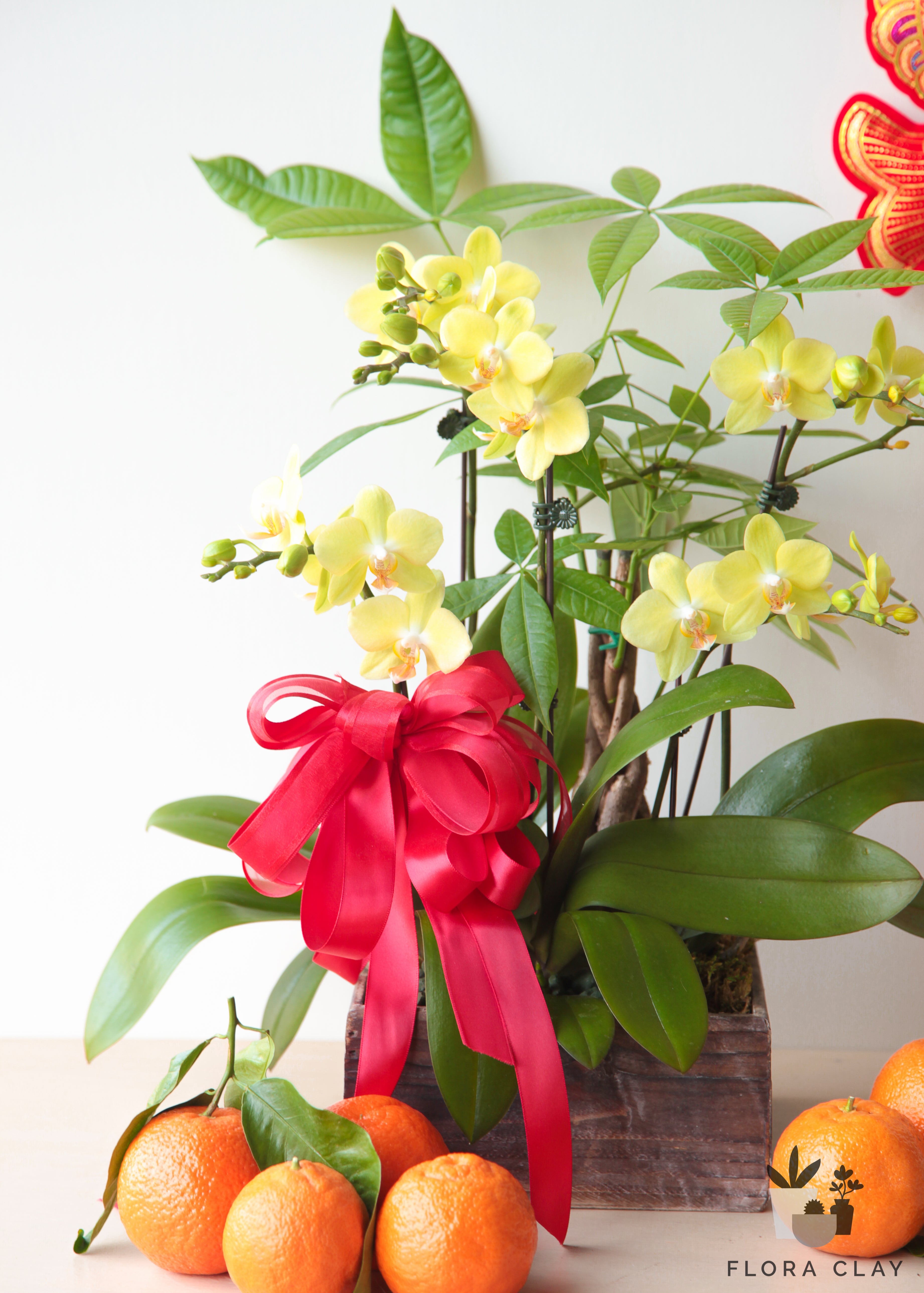 the-luckiest-orchid-arrangement-floraclay-2.jpg