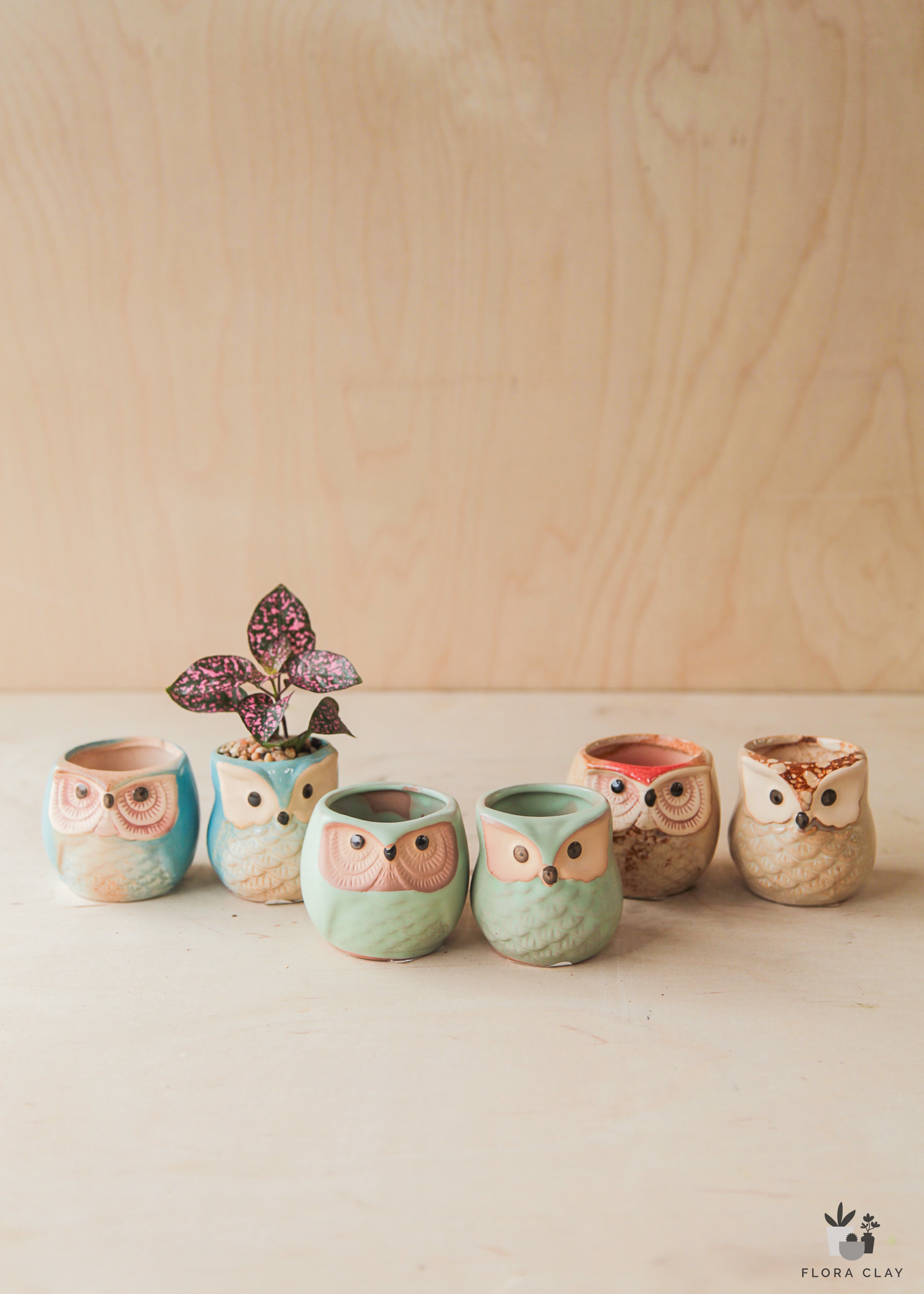 the-owls-pot-floraclay-1.jpg
