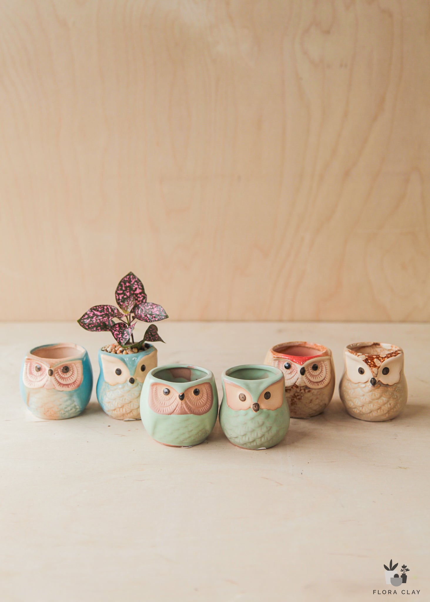 owl planter pots The Owls