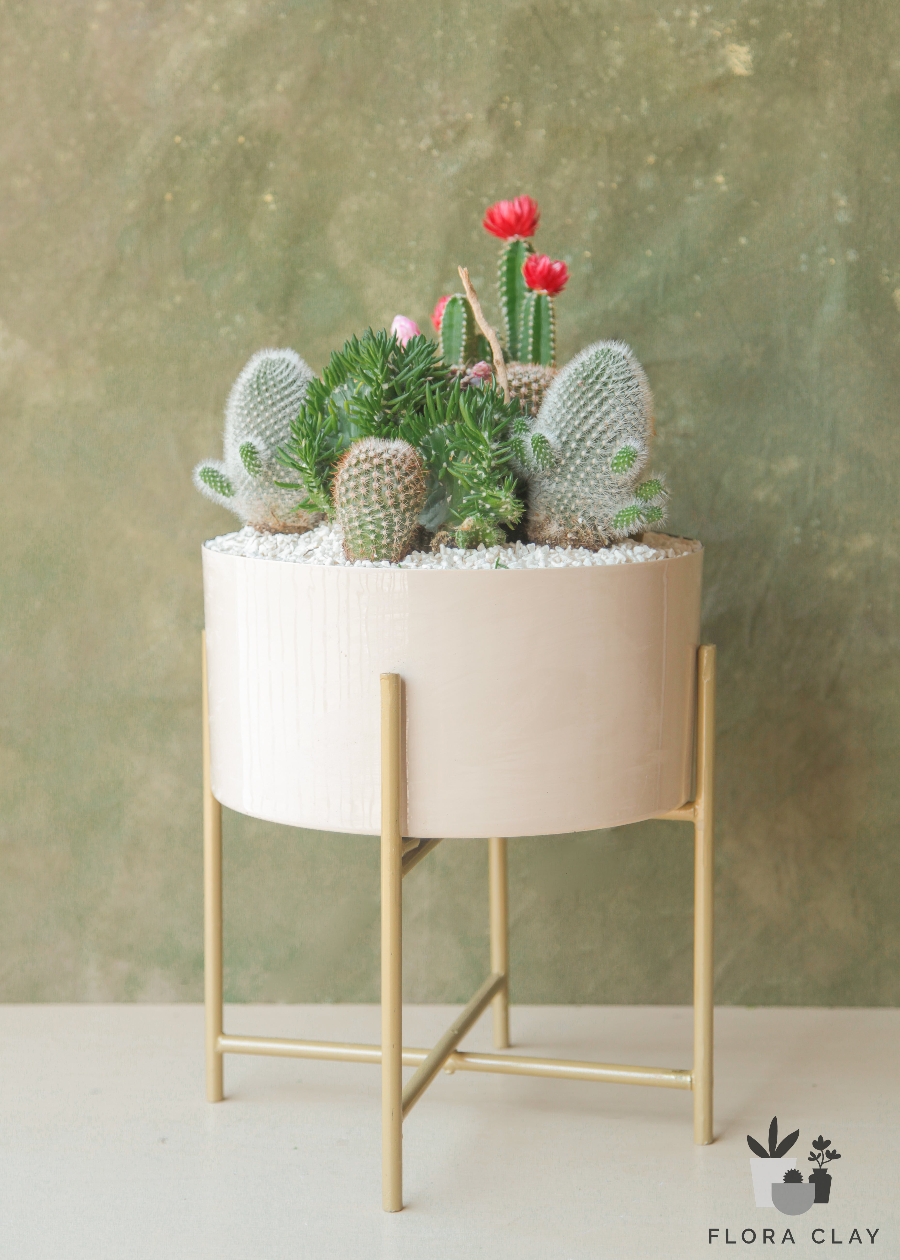 tranquility-cactus-arrangement-floraclay-1.jpg