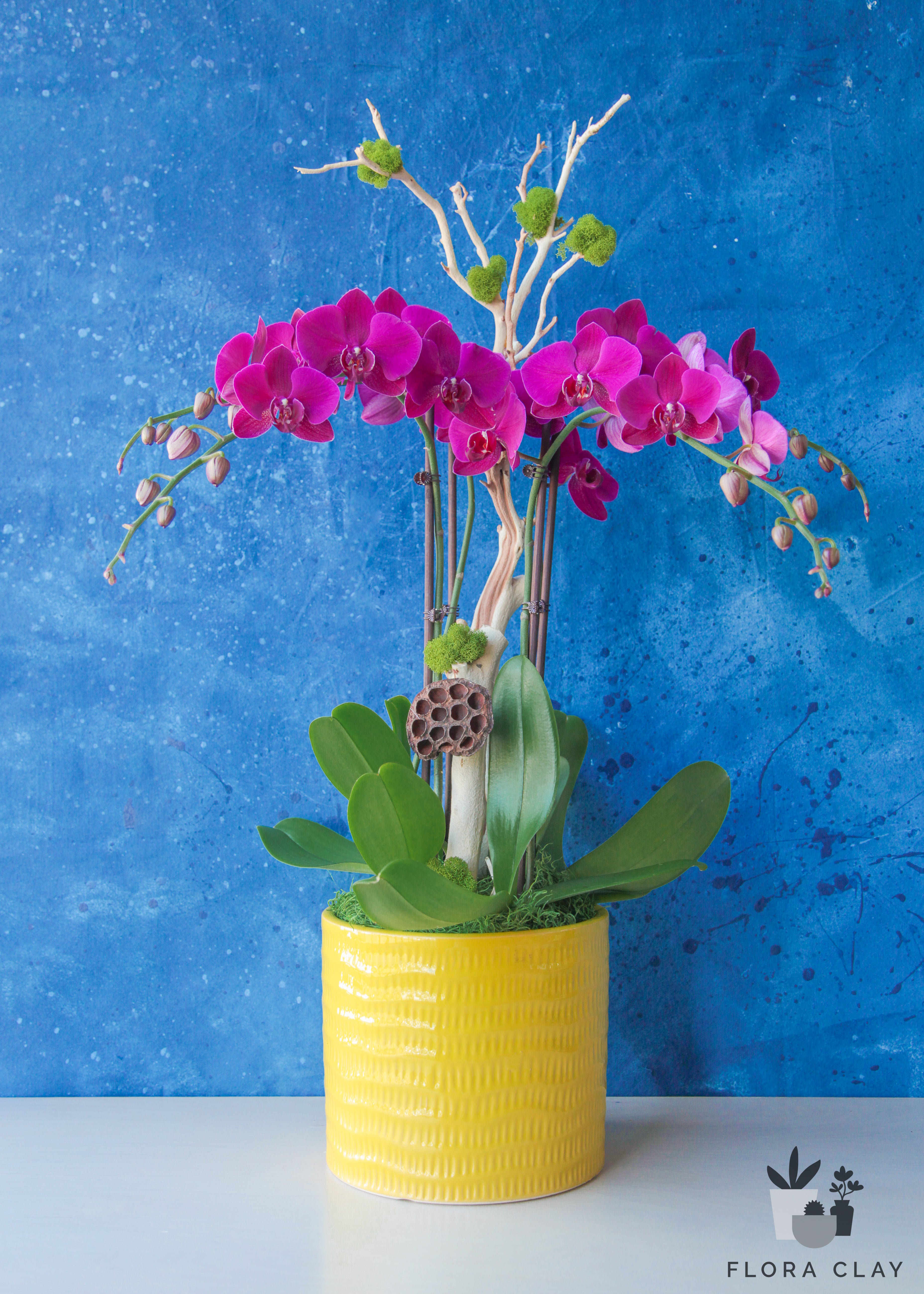 vivid-orchid-arrangement-floraclay-1.jpg