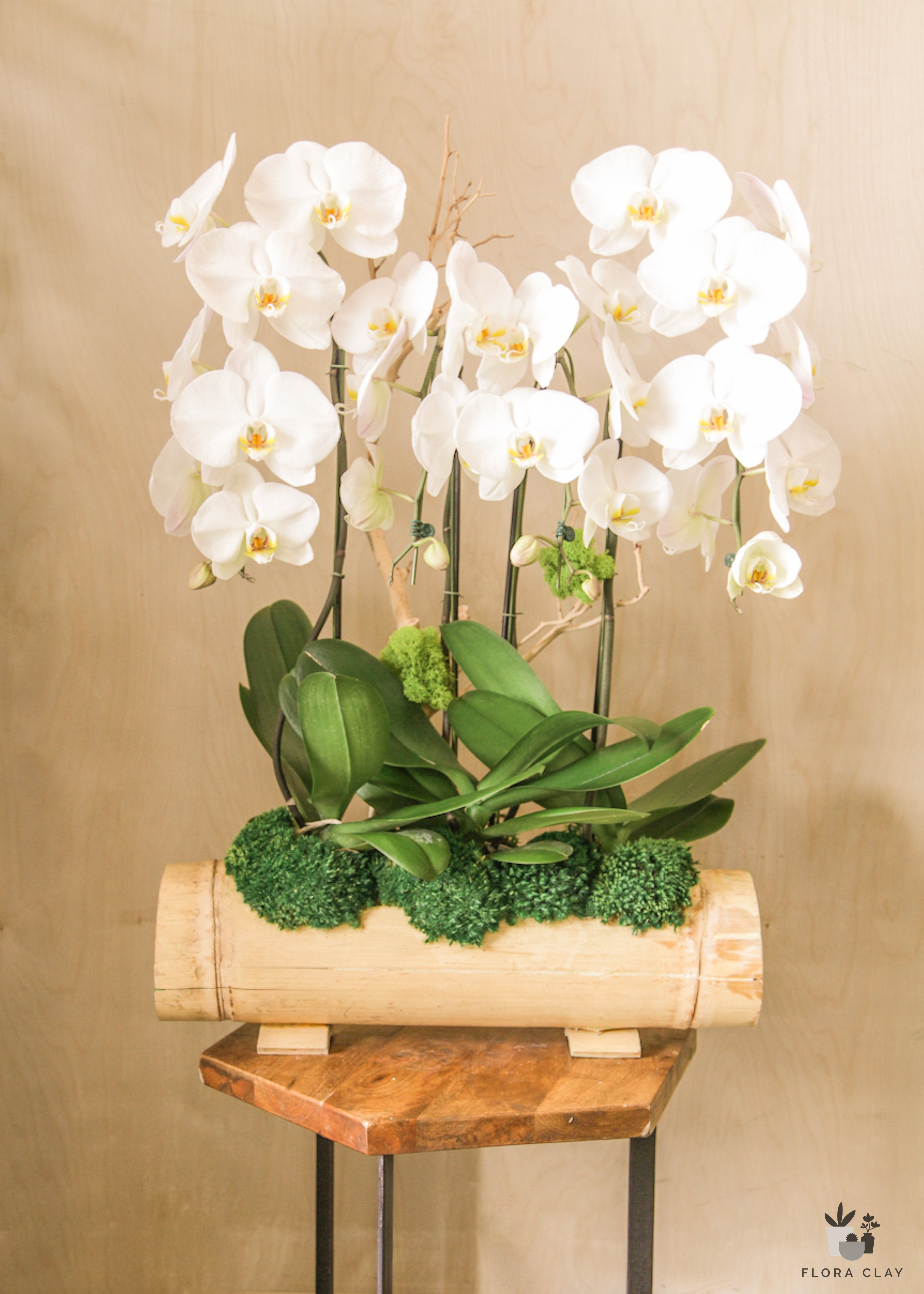 waterfall-orchid-arrangement-floraclay-1.jpg