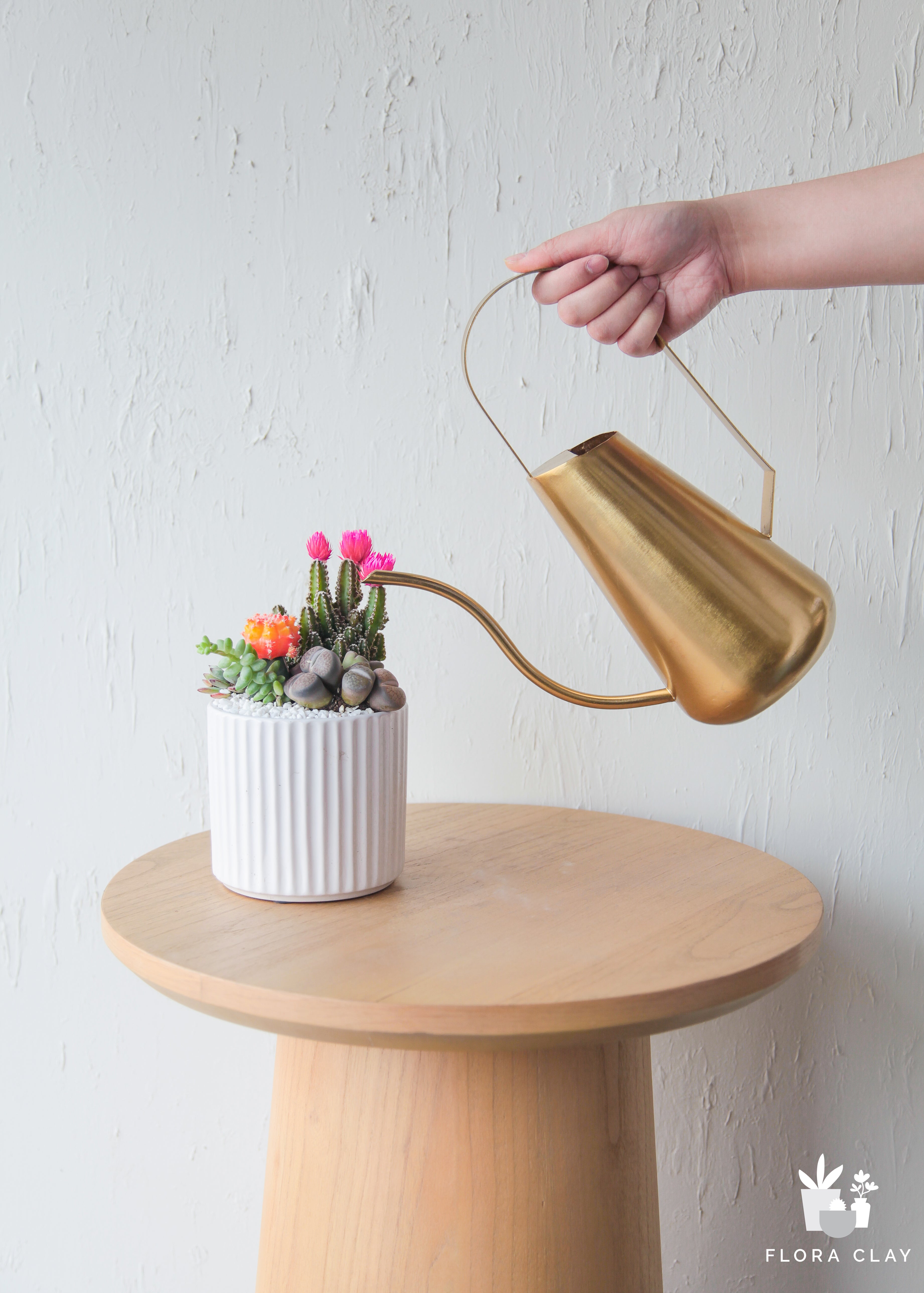 watering-can-medium-floraclay-1.jpg