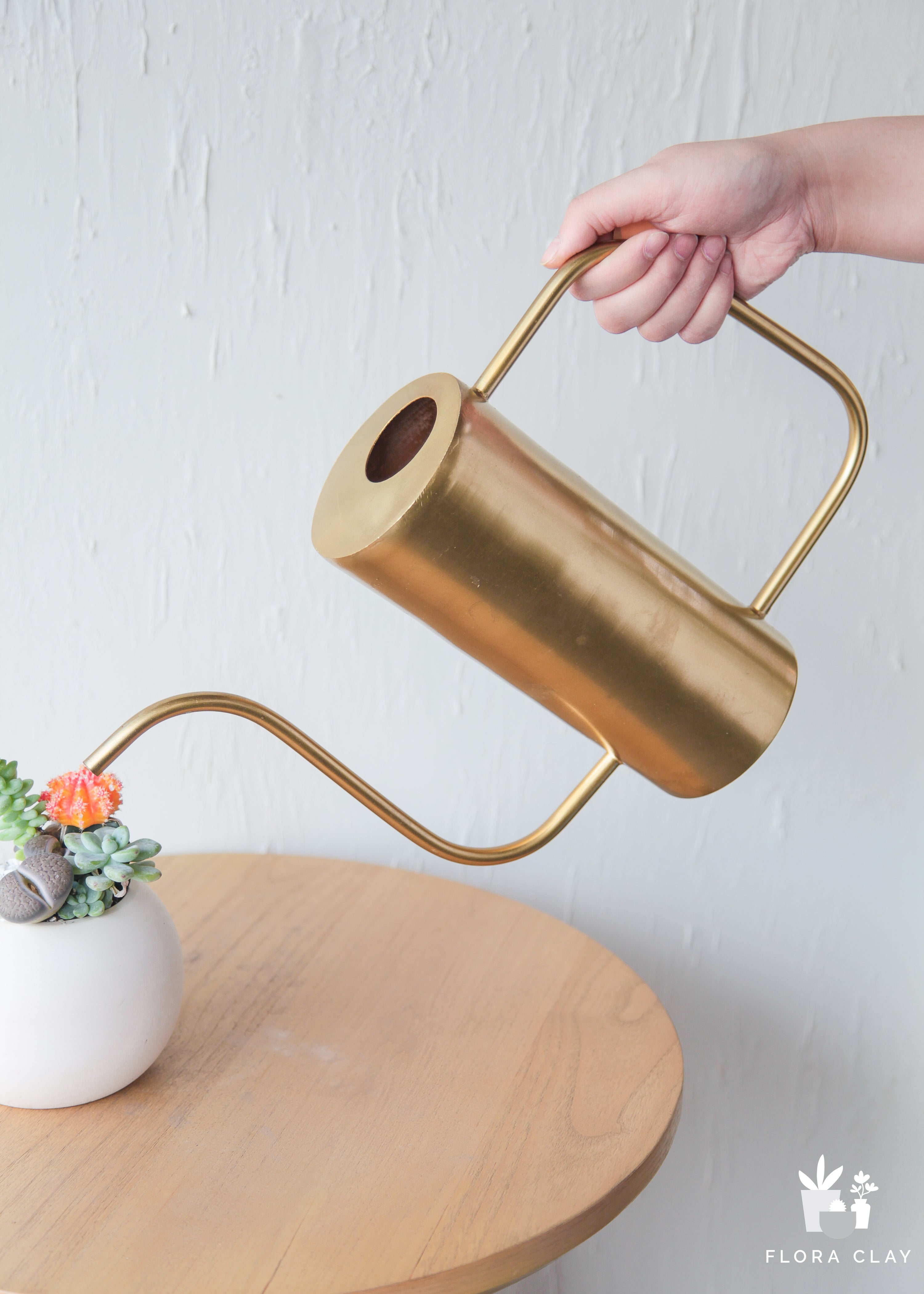 Watering Can Tall