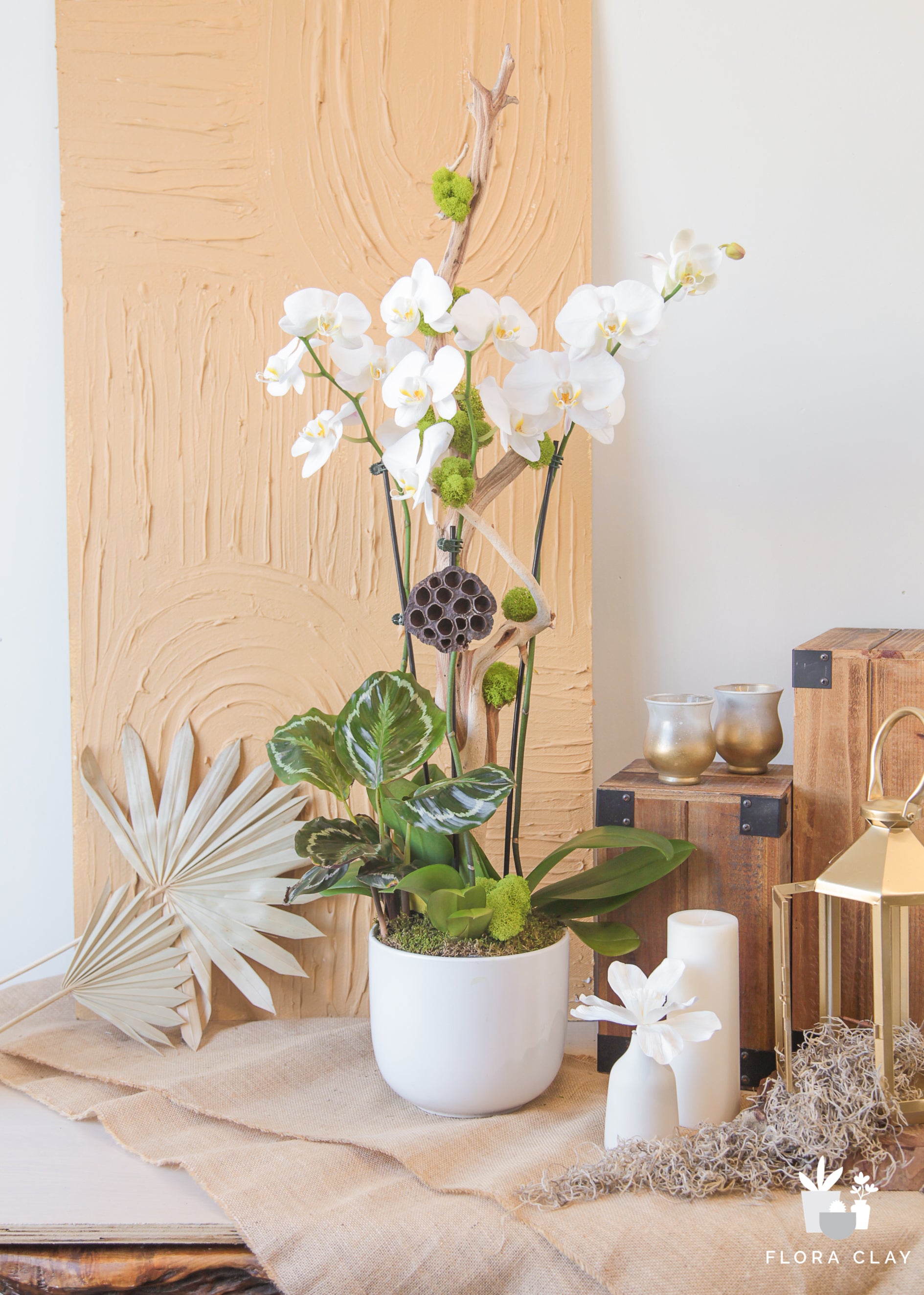 white-chocolate-orchid-arrangement-floraclay-1.jpg