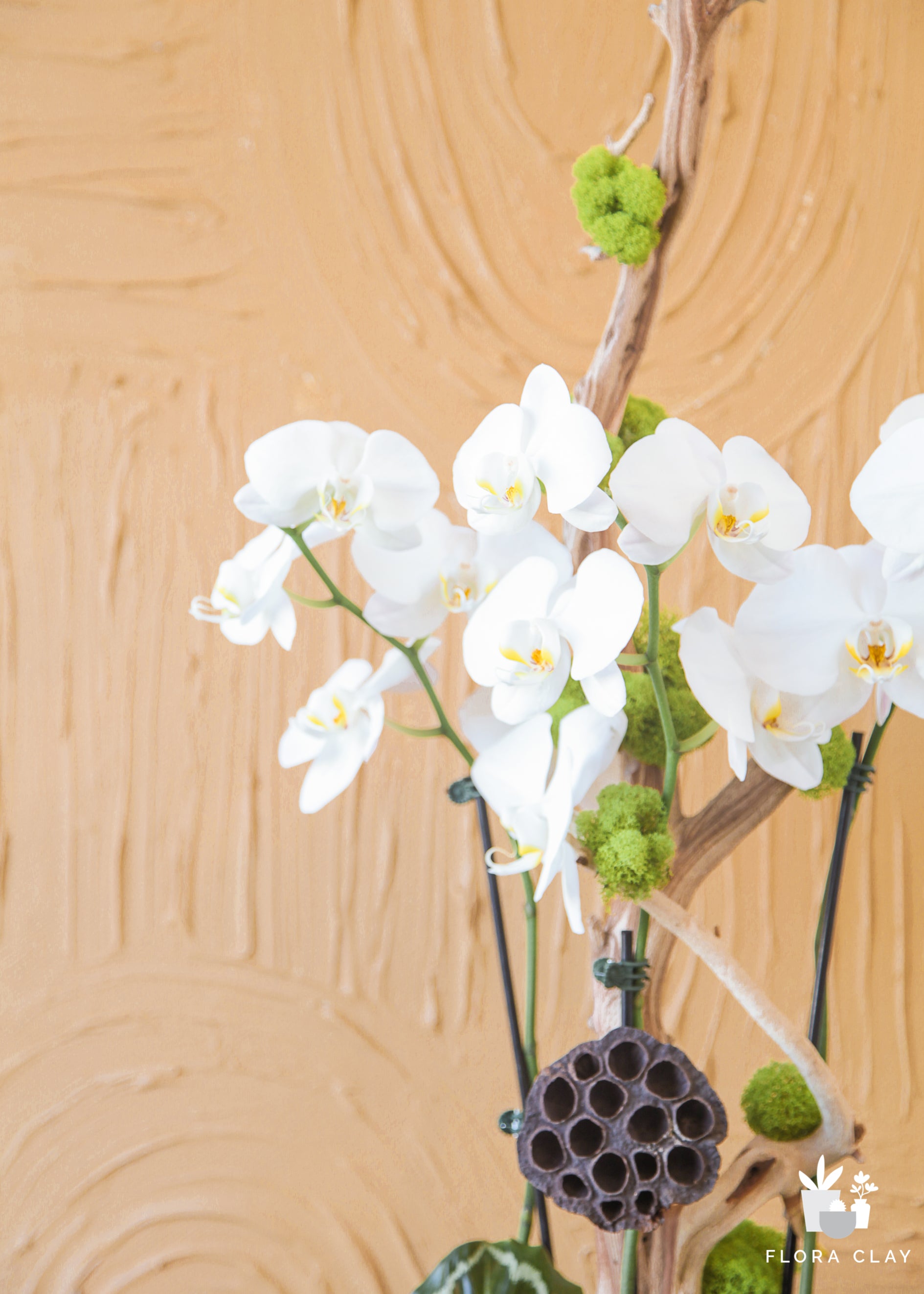 white-chocolate-orchid-arrangement-floraclay-4.jpg