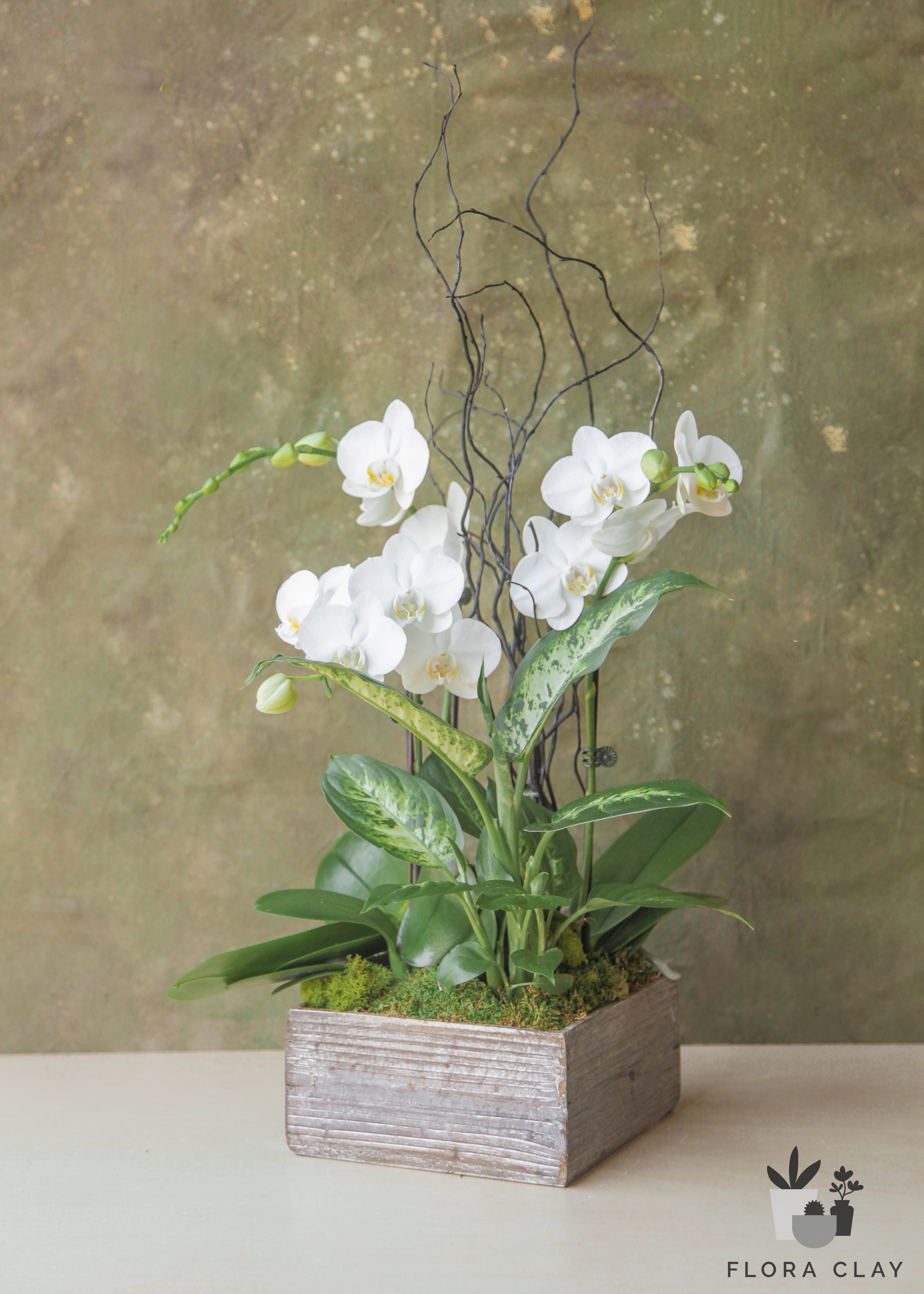 white-nile-orchid-arrangement-floraclay-2.jpg